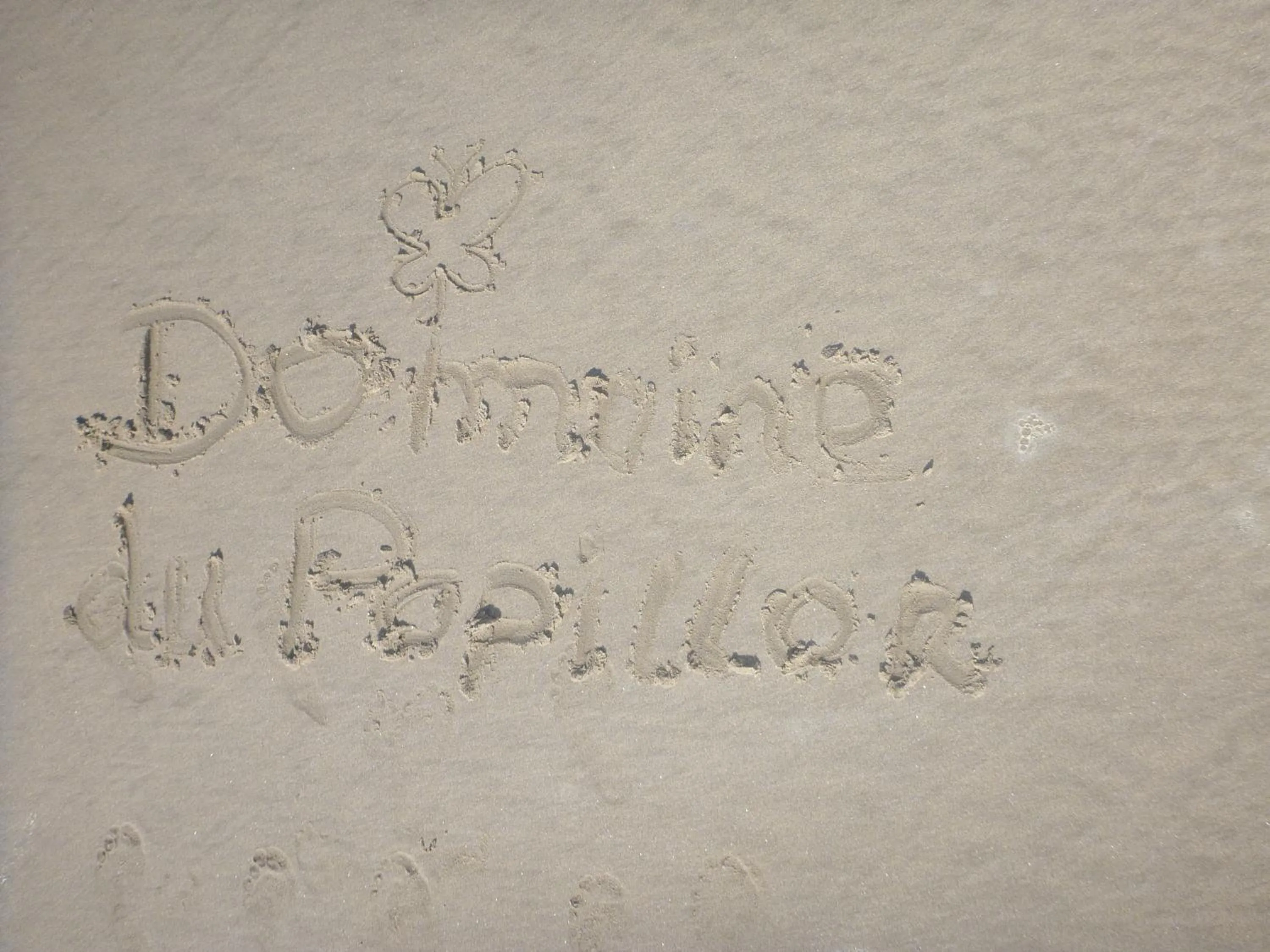 Beach in Domaine du Papillon