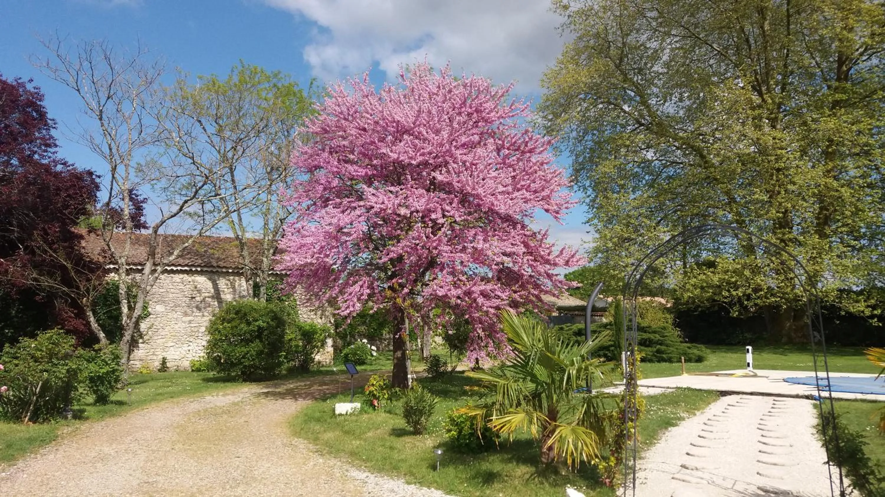 Spring in Domaine du Papillon
