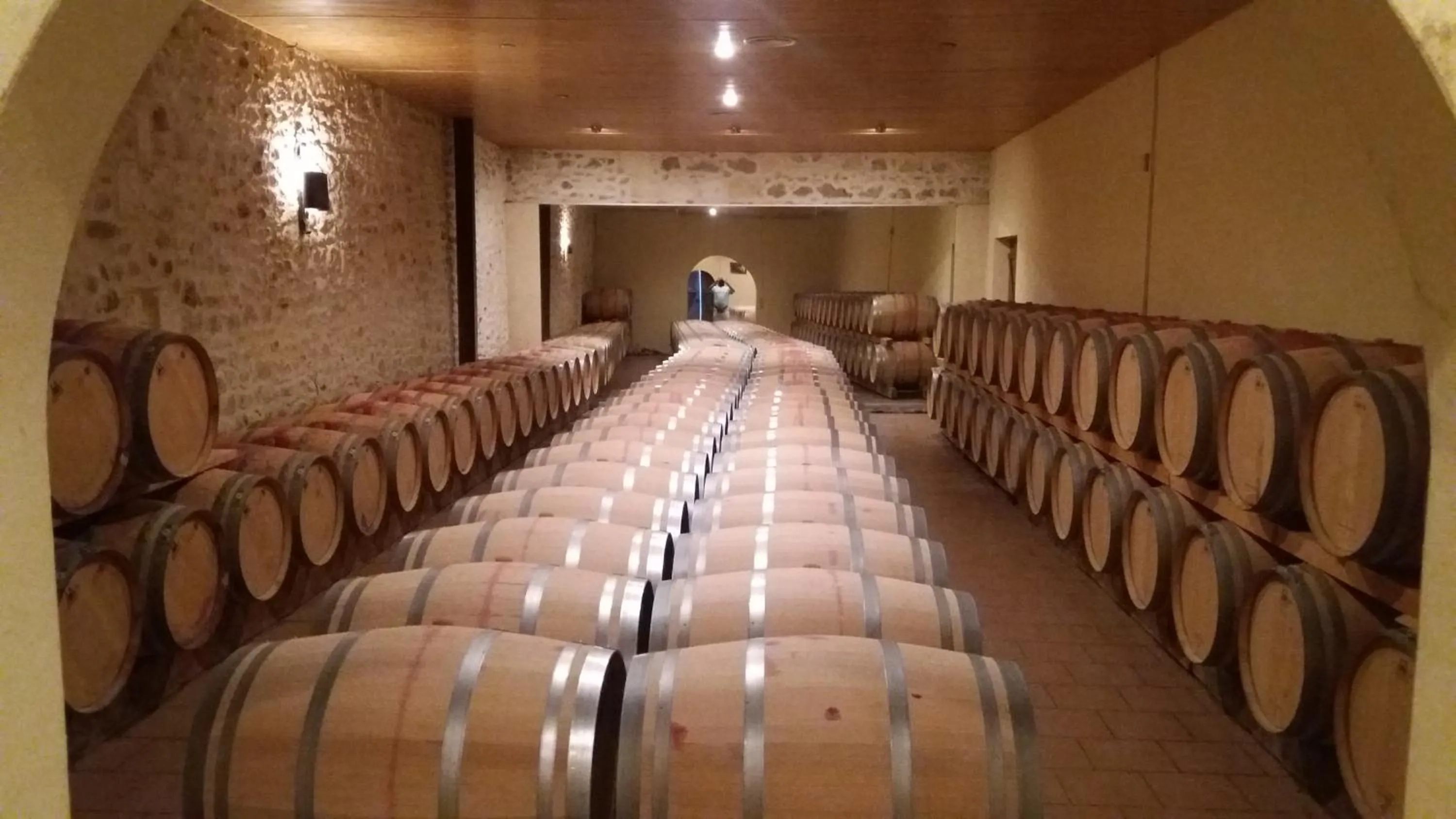 Activities in Domaine du Papillon