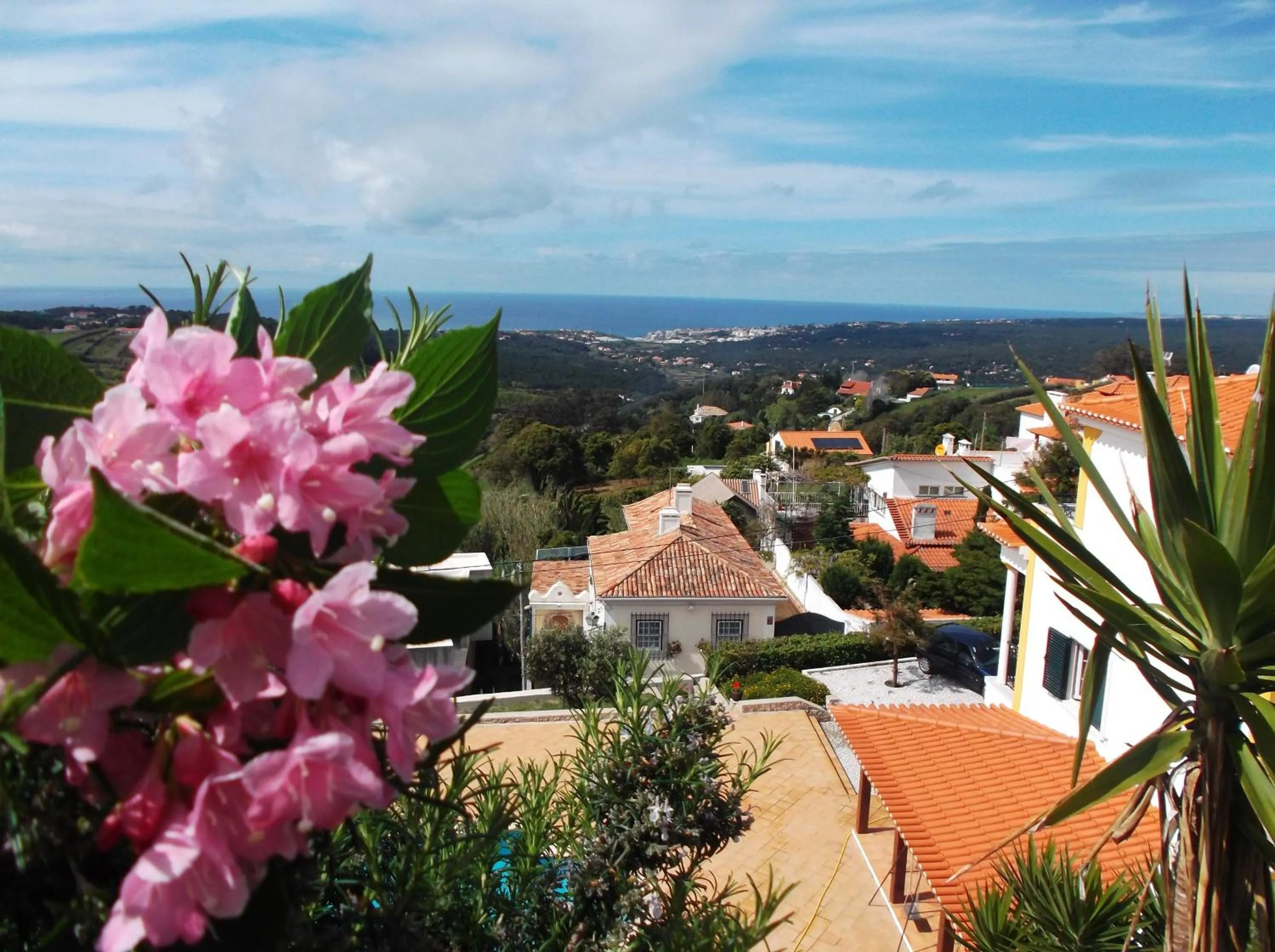 Casa Do Cha
