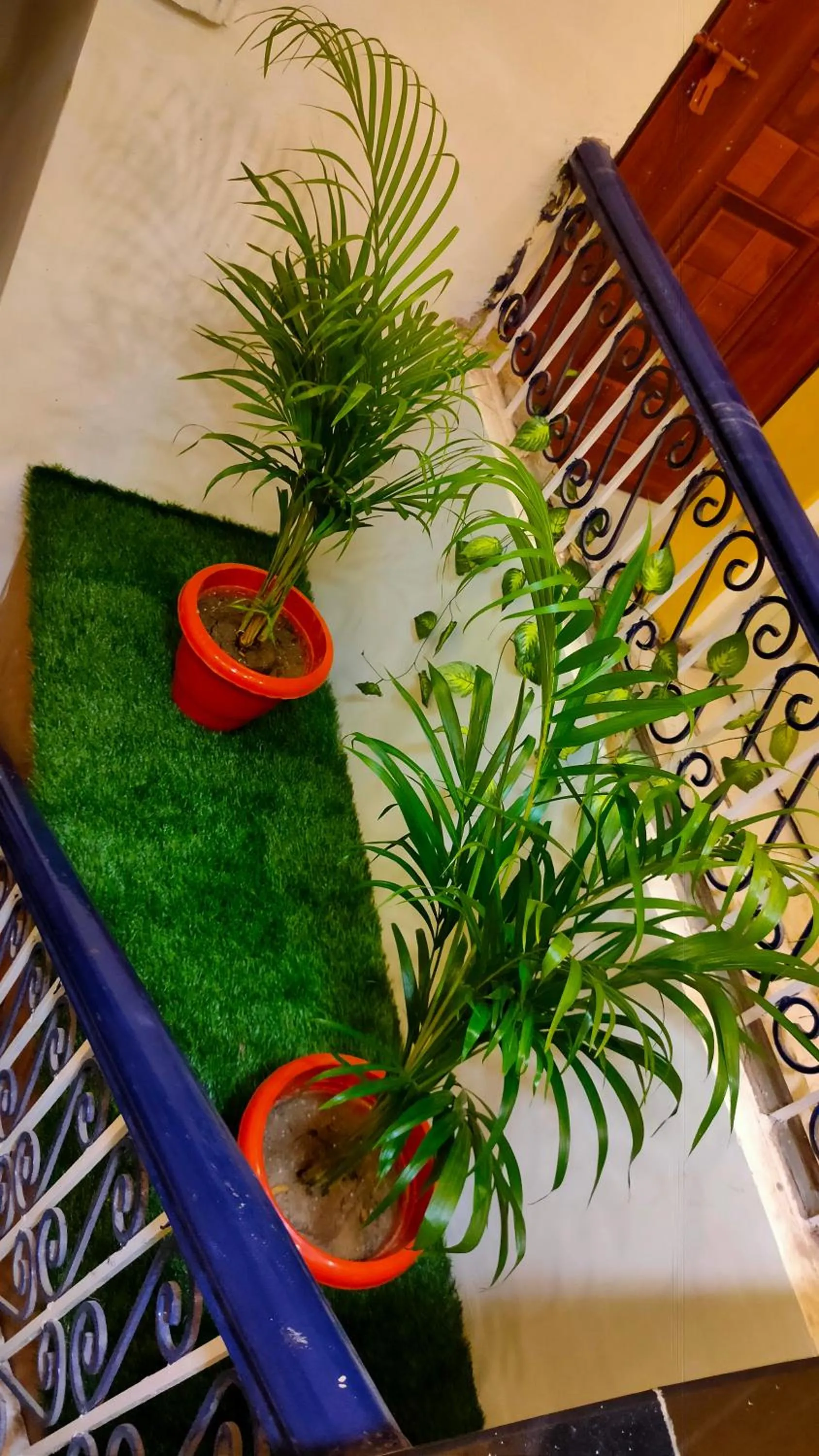 Sri Krishna Residency
