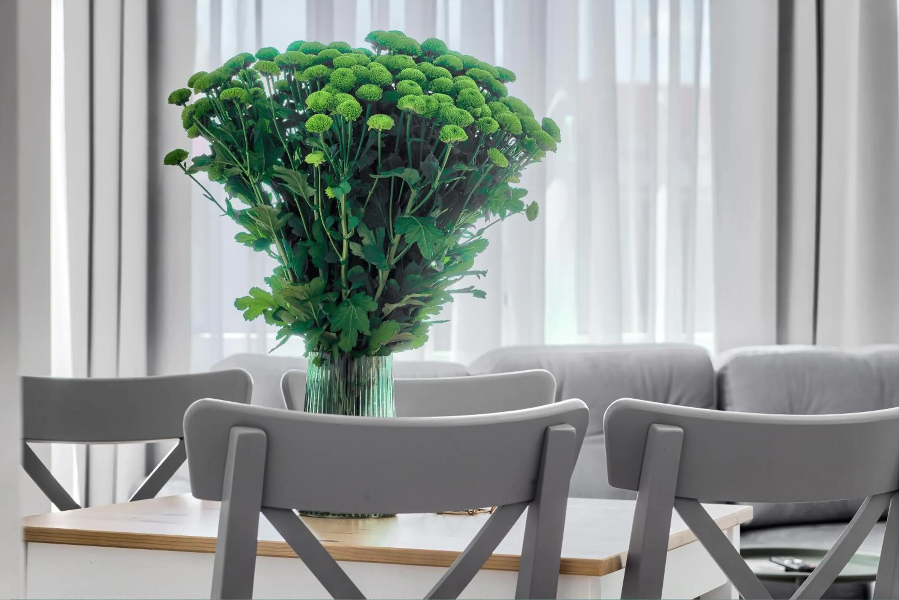 Aparthotel 1899 by Platinum