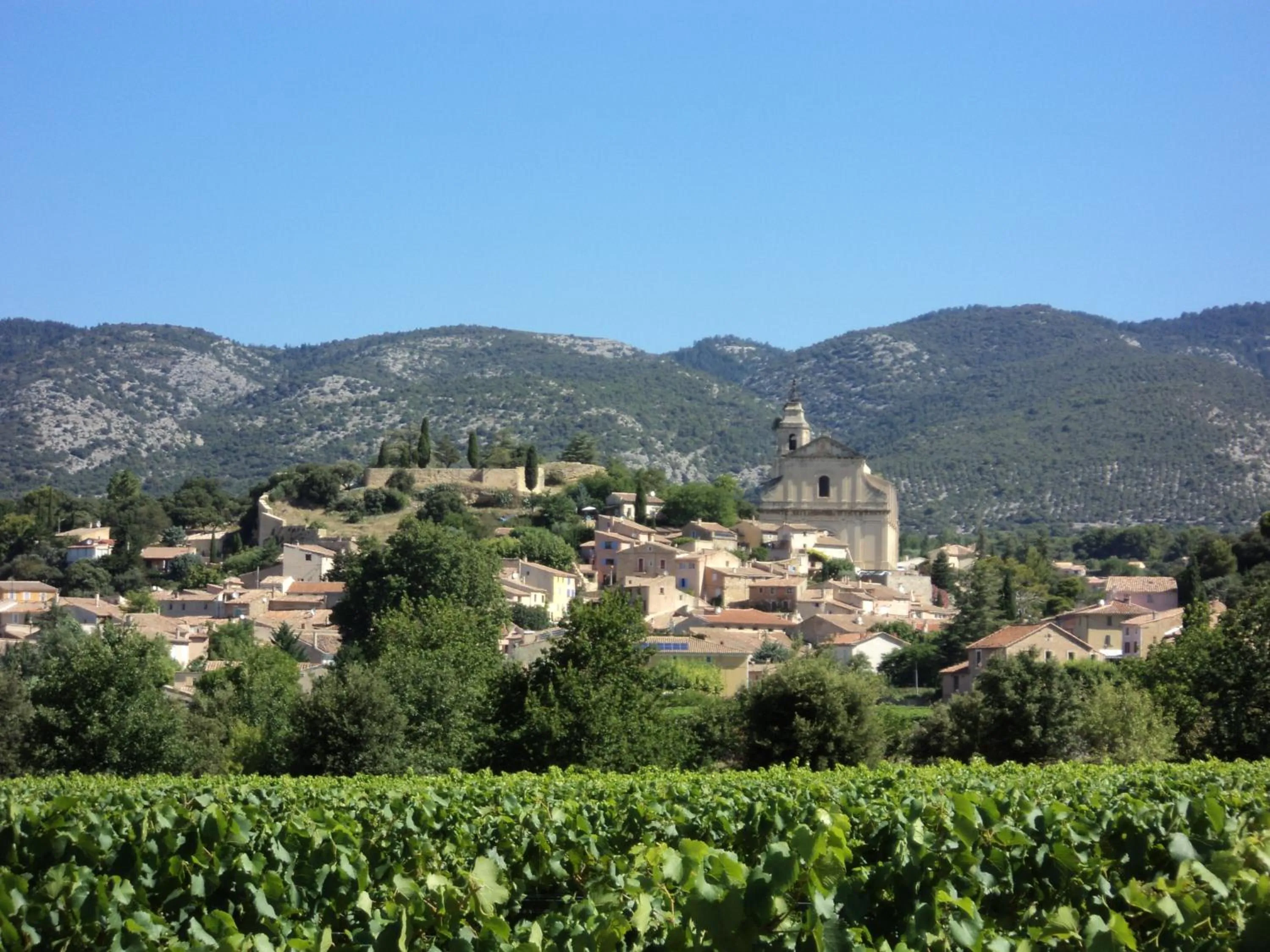Neighbourhood in La Bastide au Ventoux