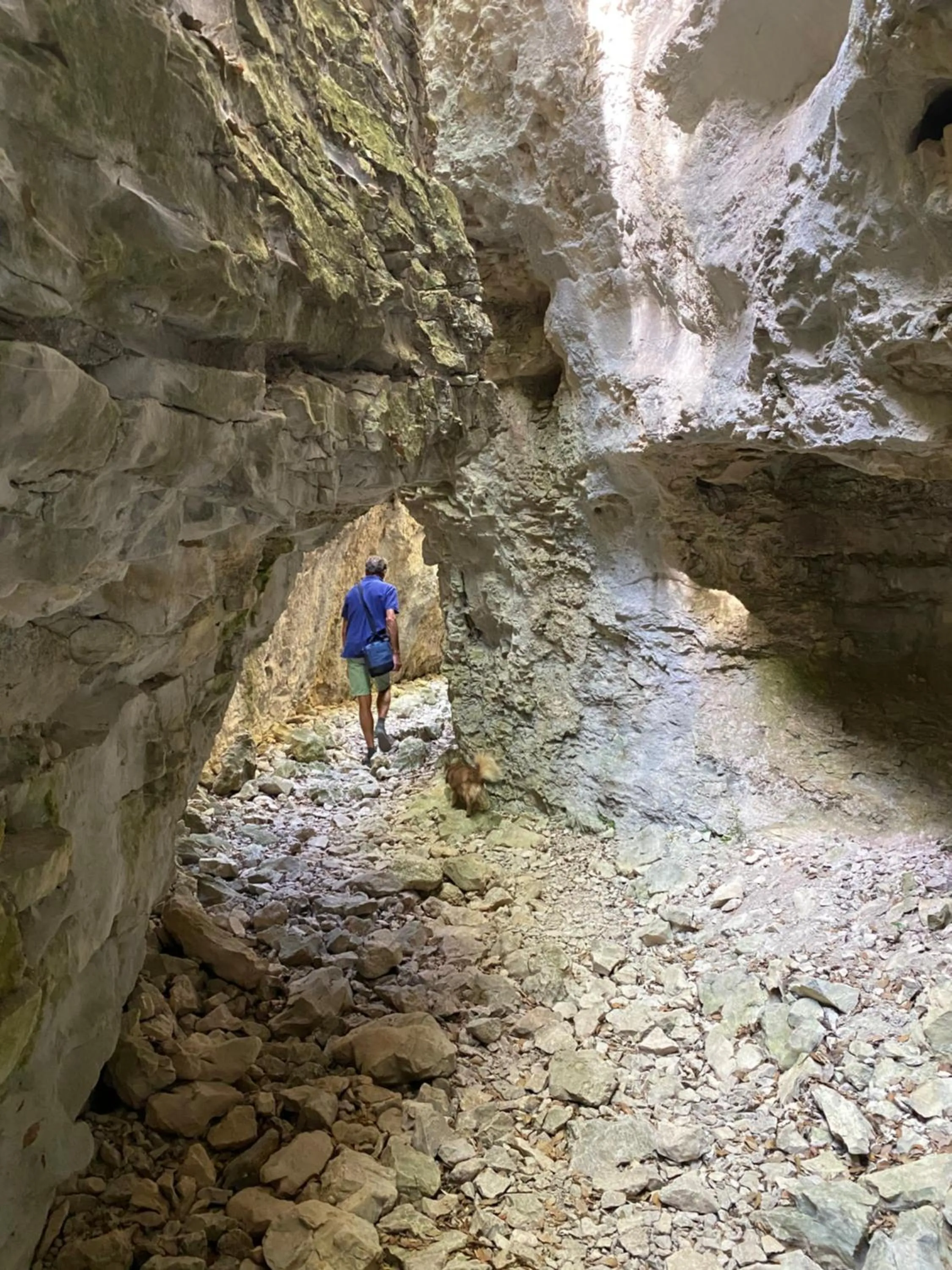 Natural landscape in La Bastide au Ventoux