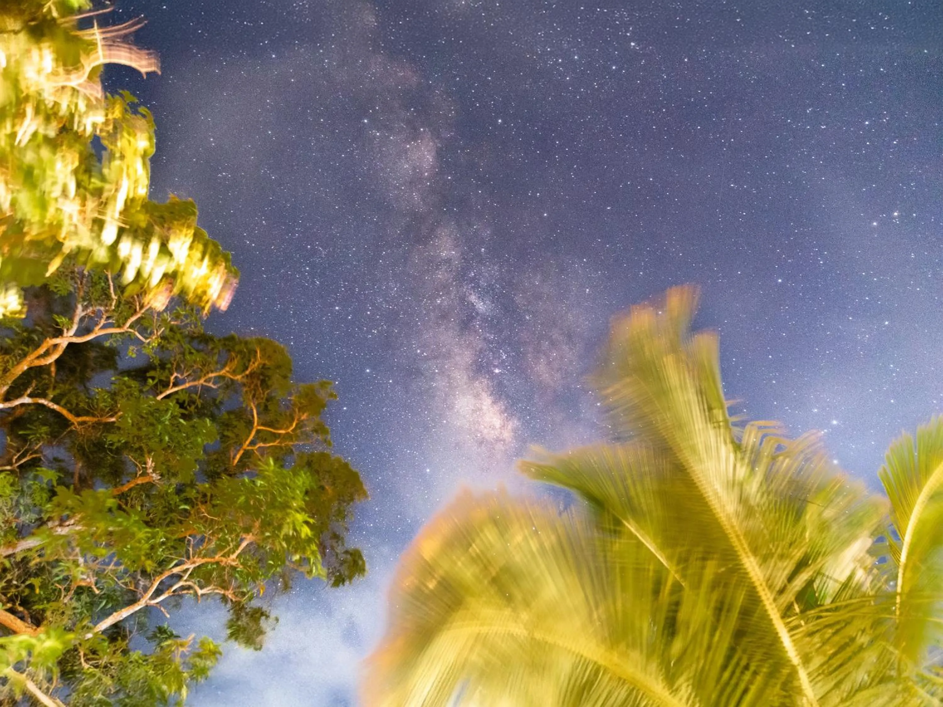 Area and facilities in Moi Dambulla by DBI