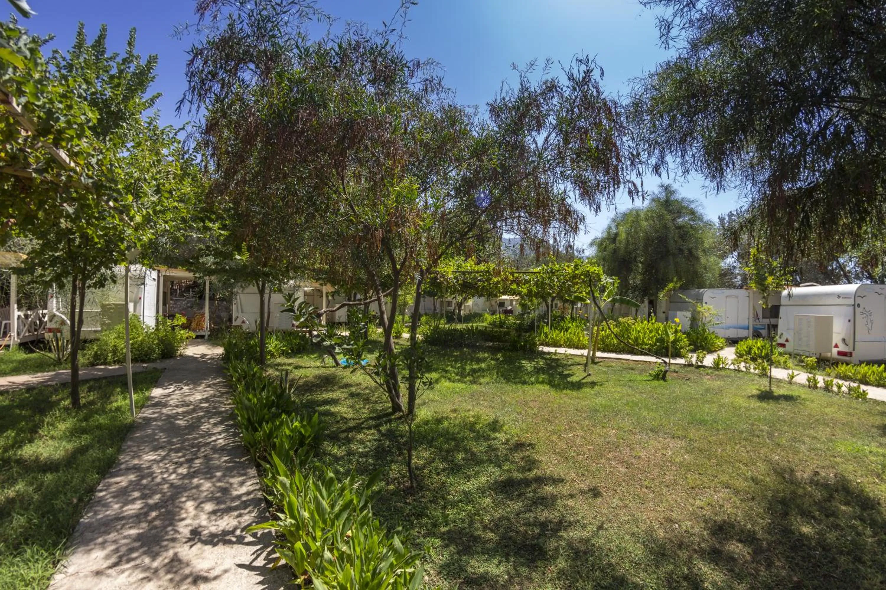 Garden in S3 Seahorse Beach Club