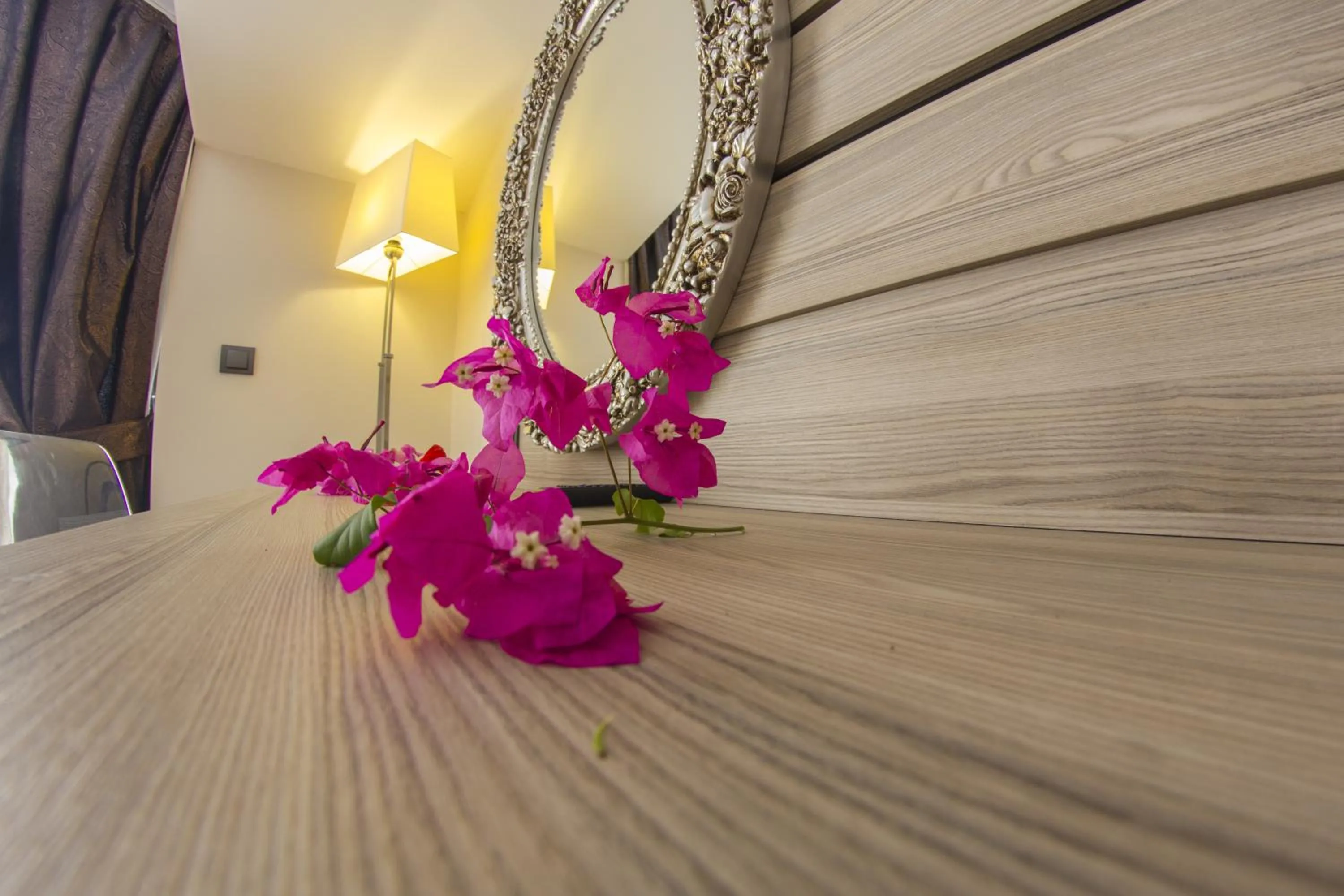 Photo of the whole room in S3 Seahorse Beach Club