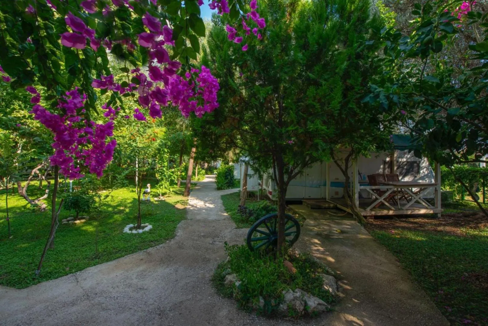 Garden view in S3 Seahorse Beach Club