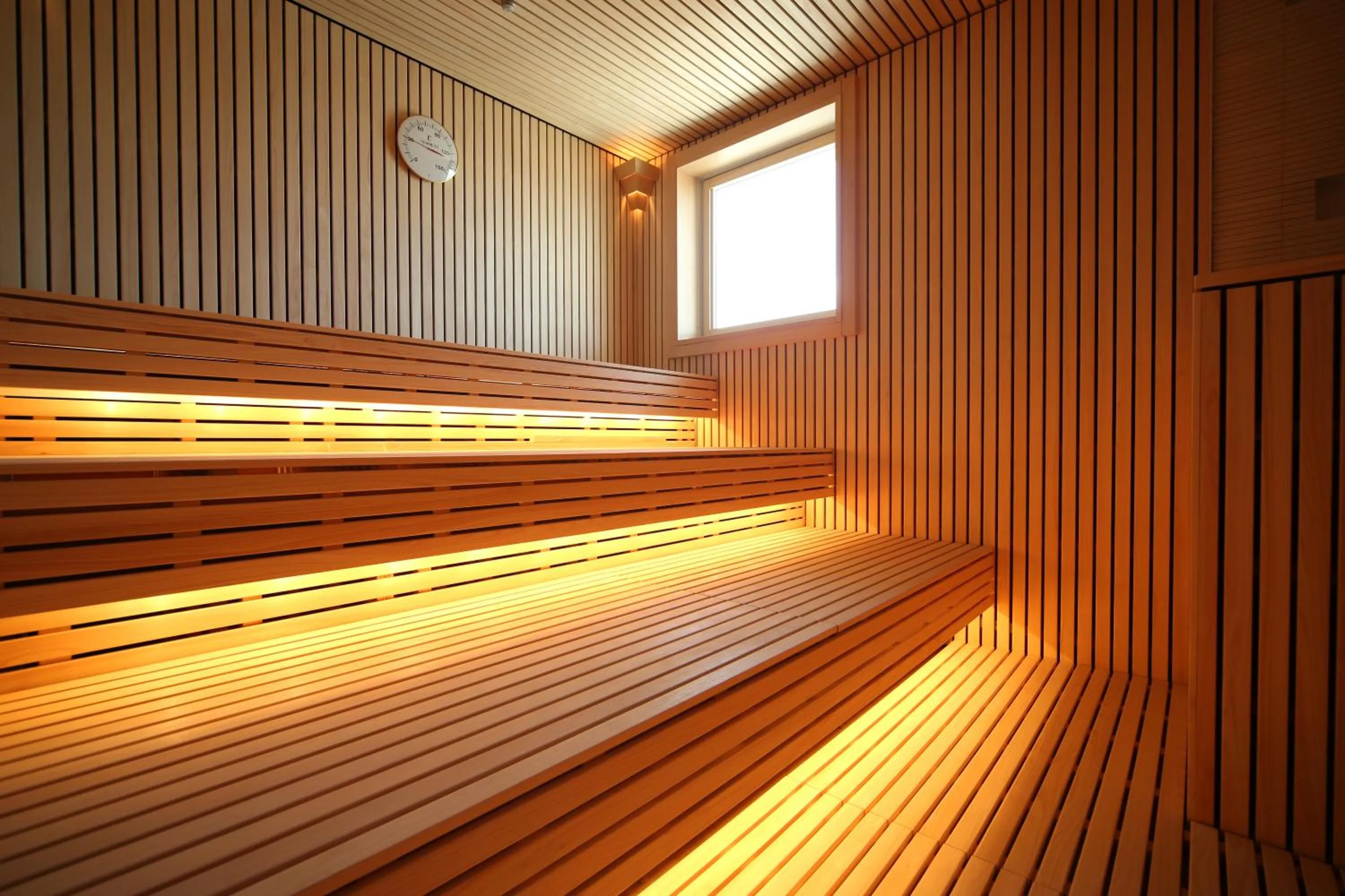 Sauna in JR Kyushu Hotel Blossom Oita