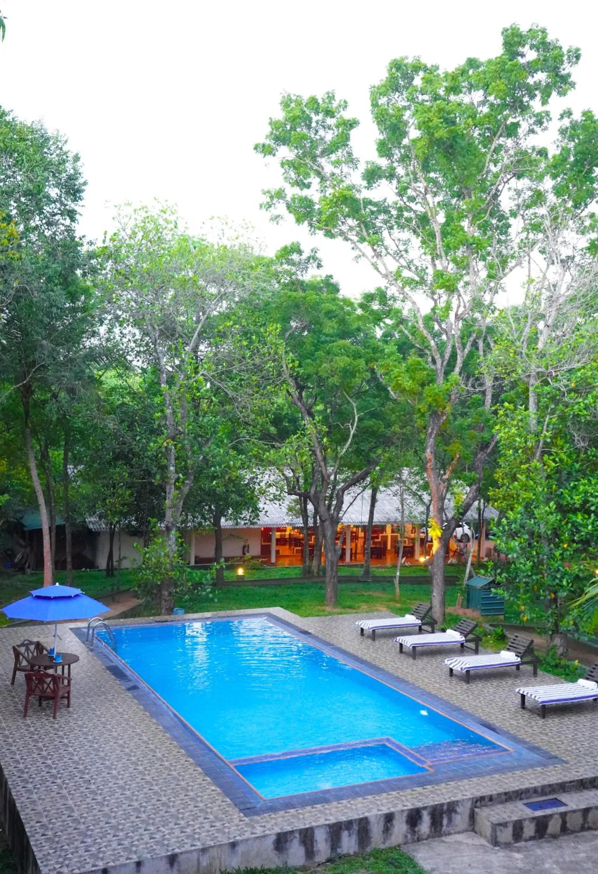 Swimming pool in Vaana Resort