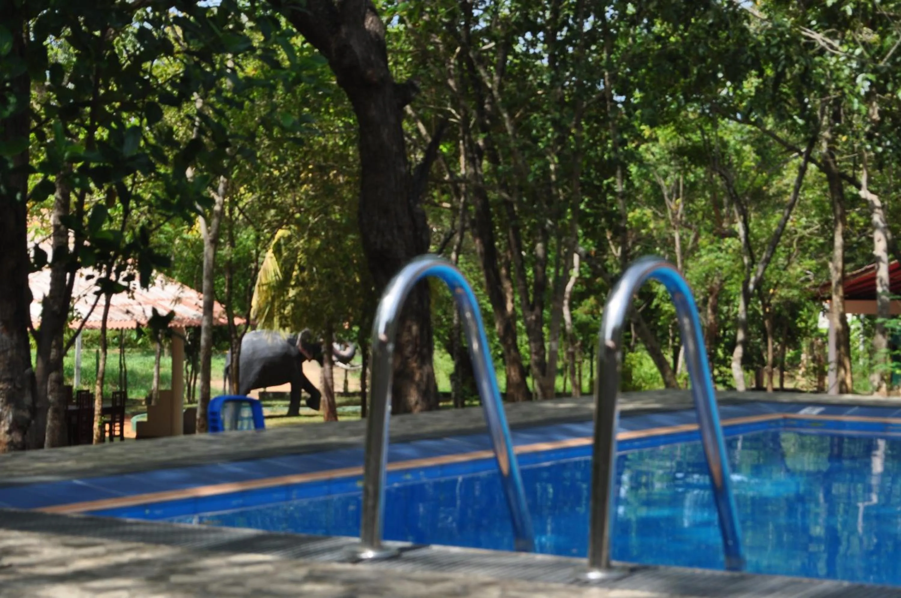 Pool view in Vaana Resort