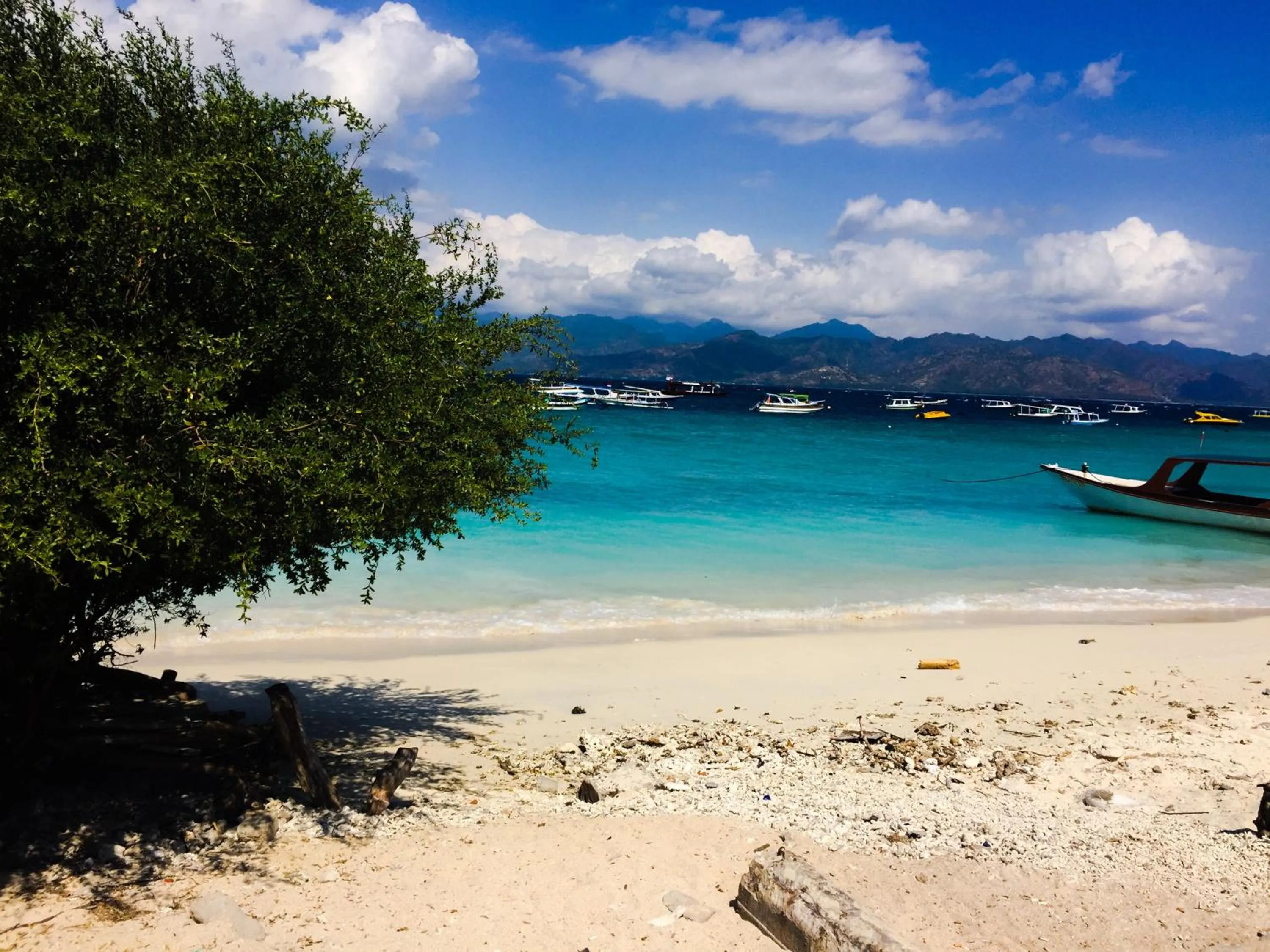 Beach in Paras Paros Marina Lodge