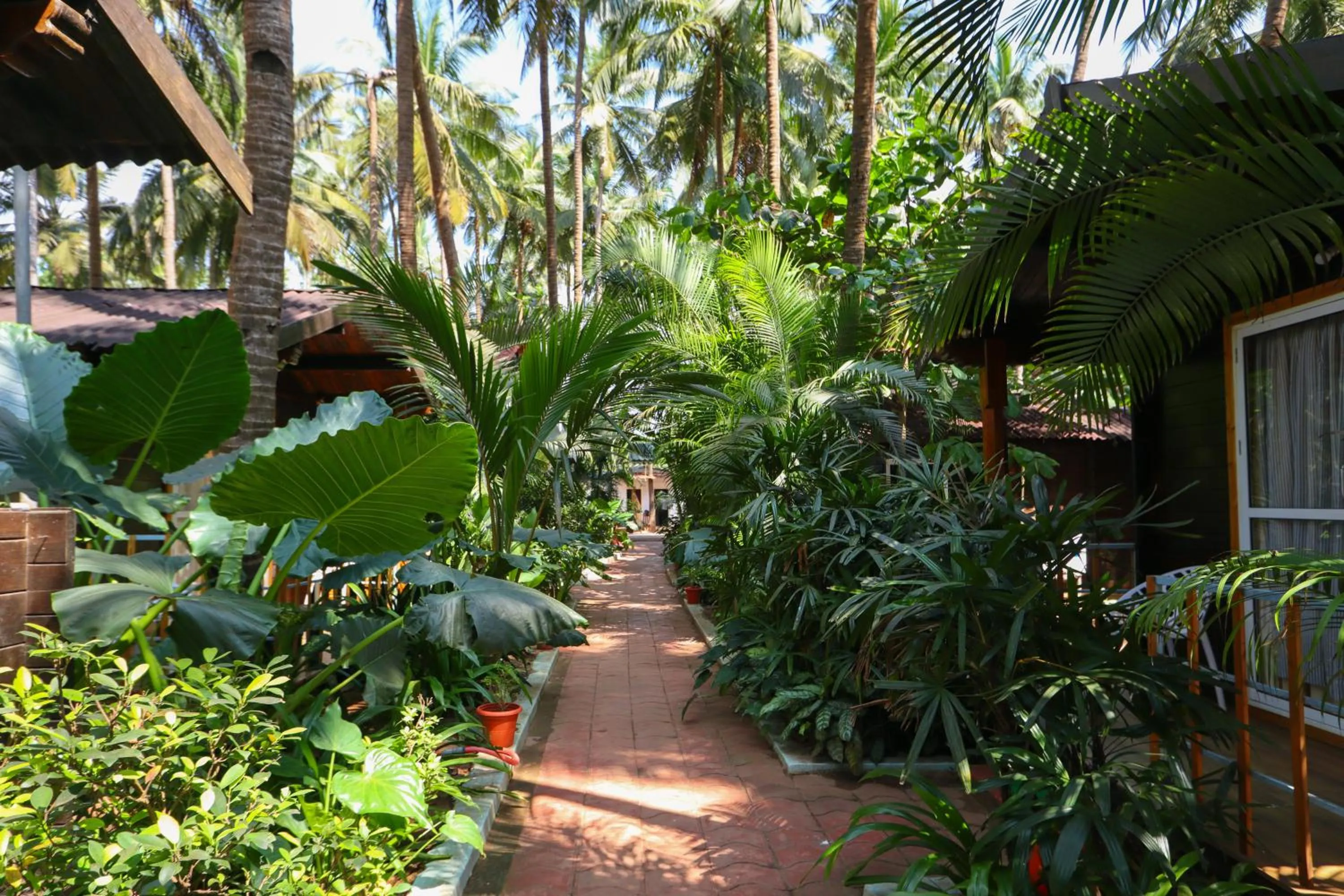 Garden in Sea Star Resort