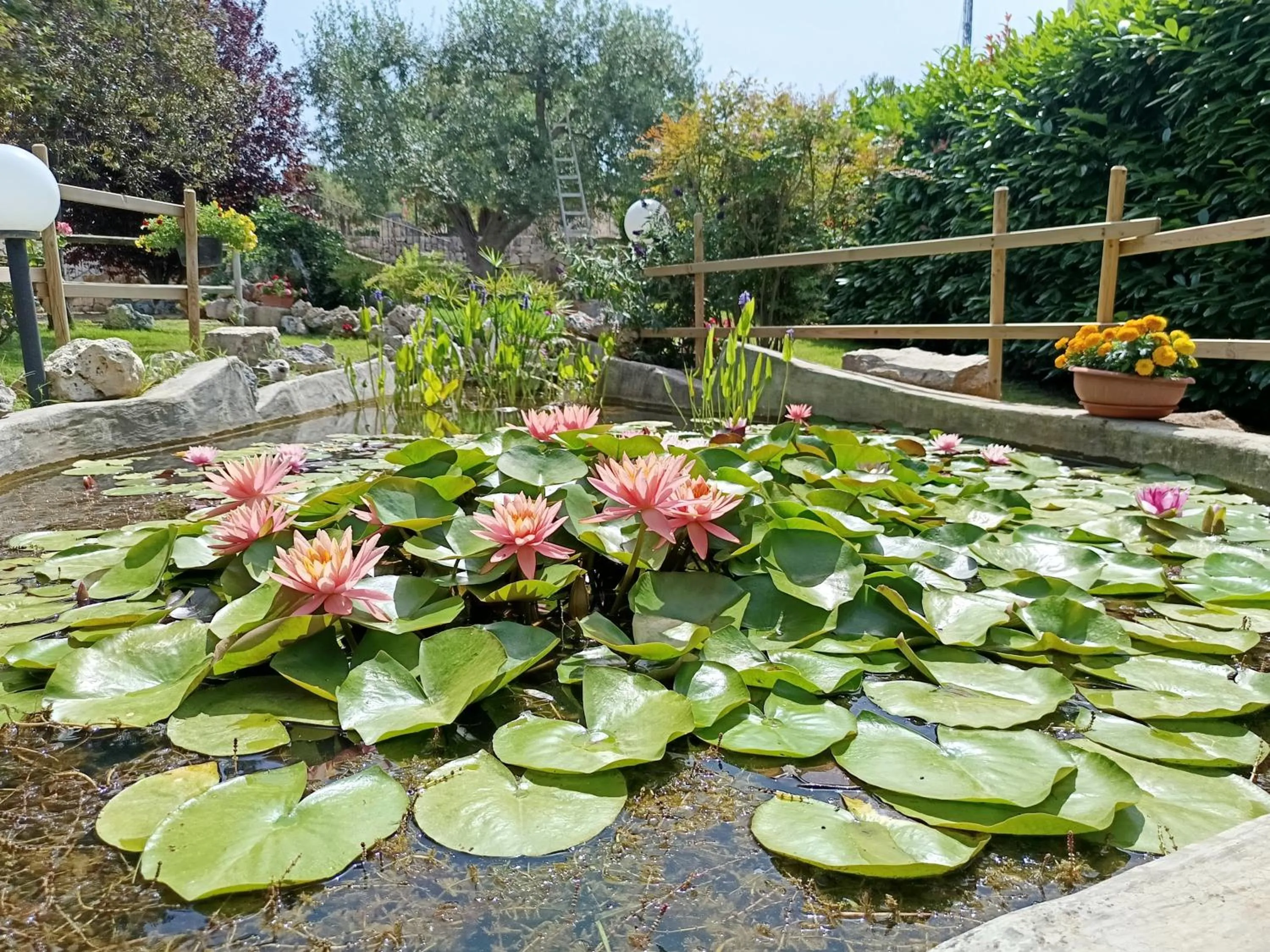 Property building in La Rosa dei Trulli B&B