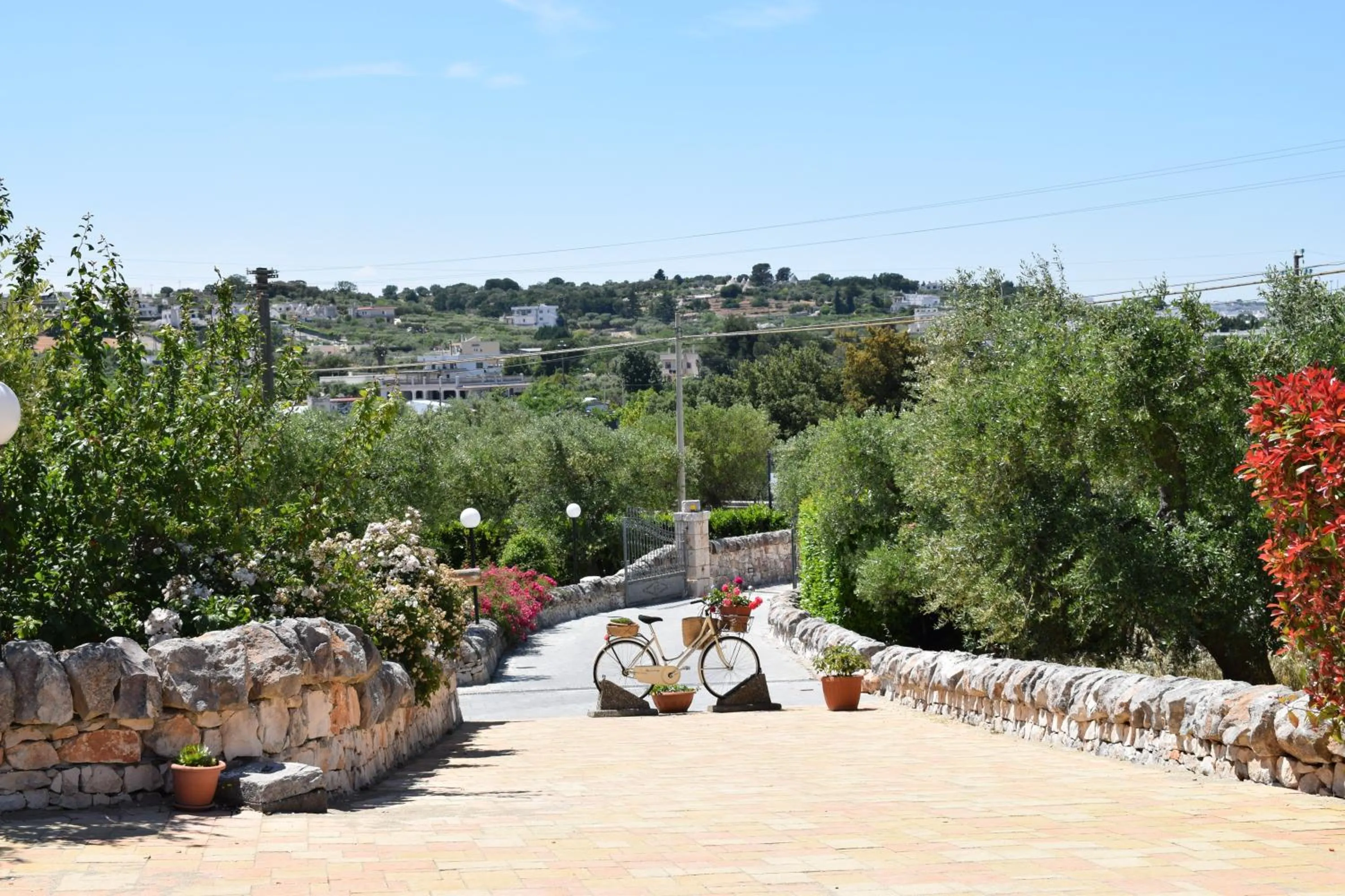 Day in La Rosa dei Trulli B&B