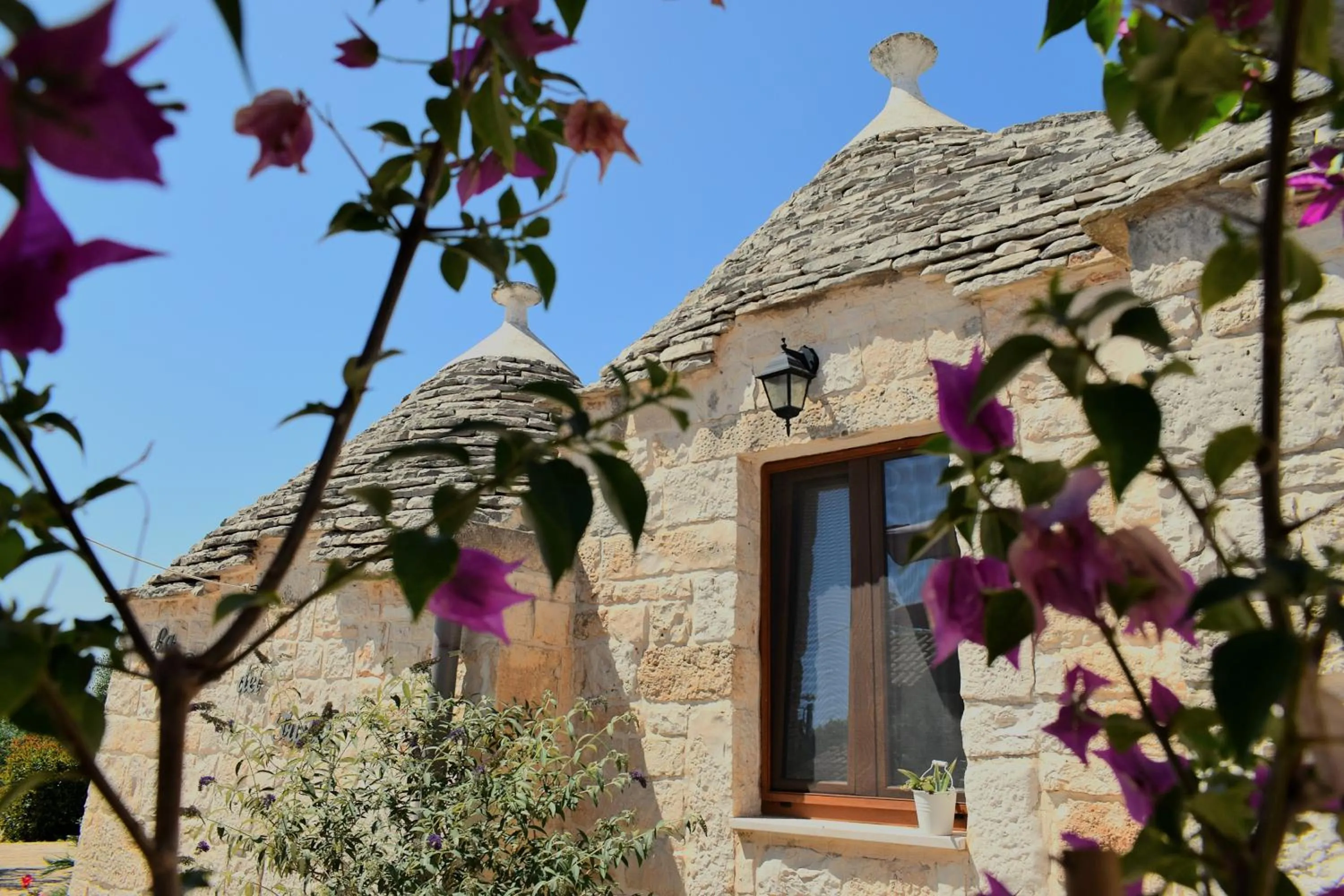 Property building in La Rosa dei Trulli B&B