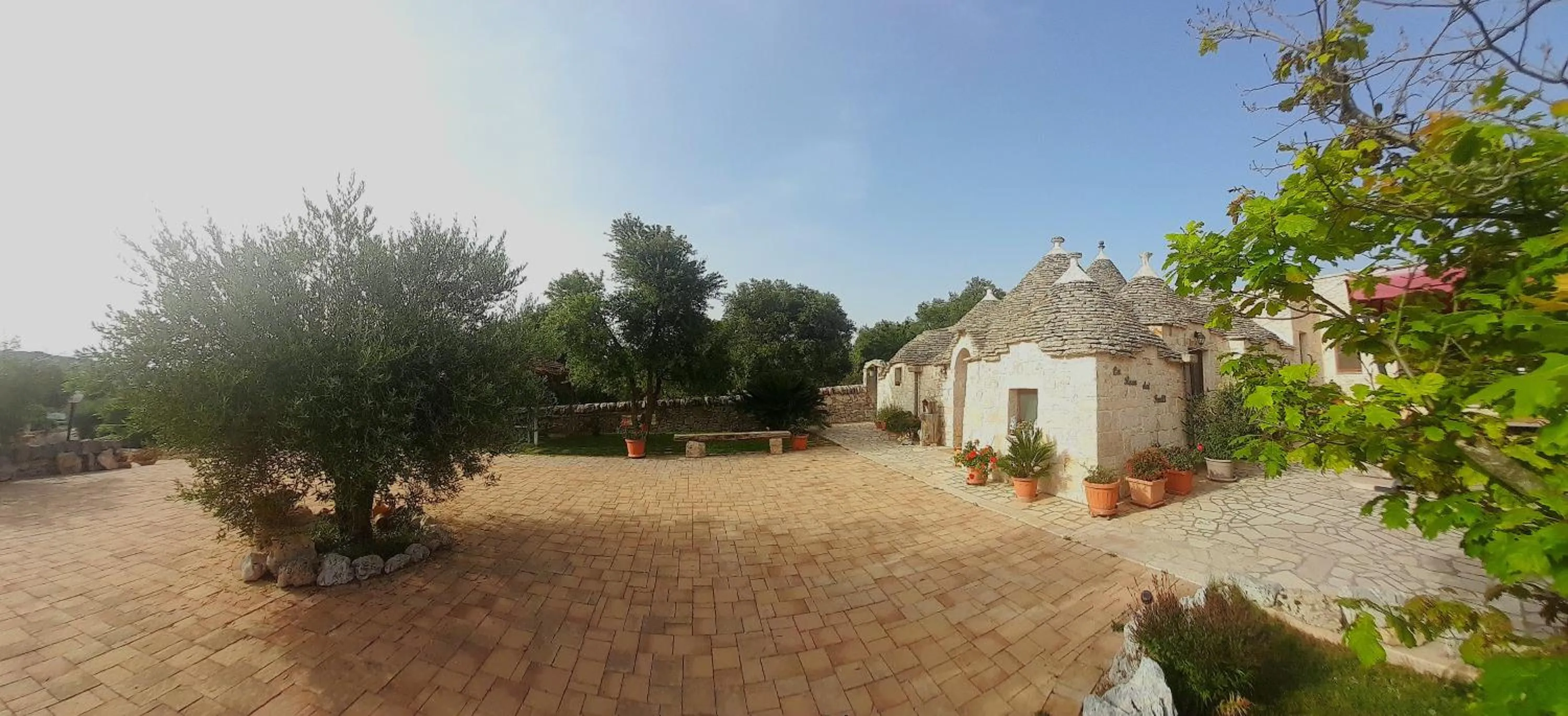La Rosa dei Trulli B&B