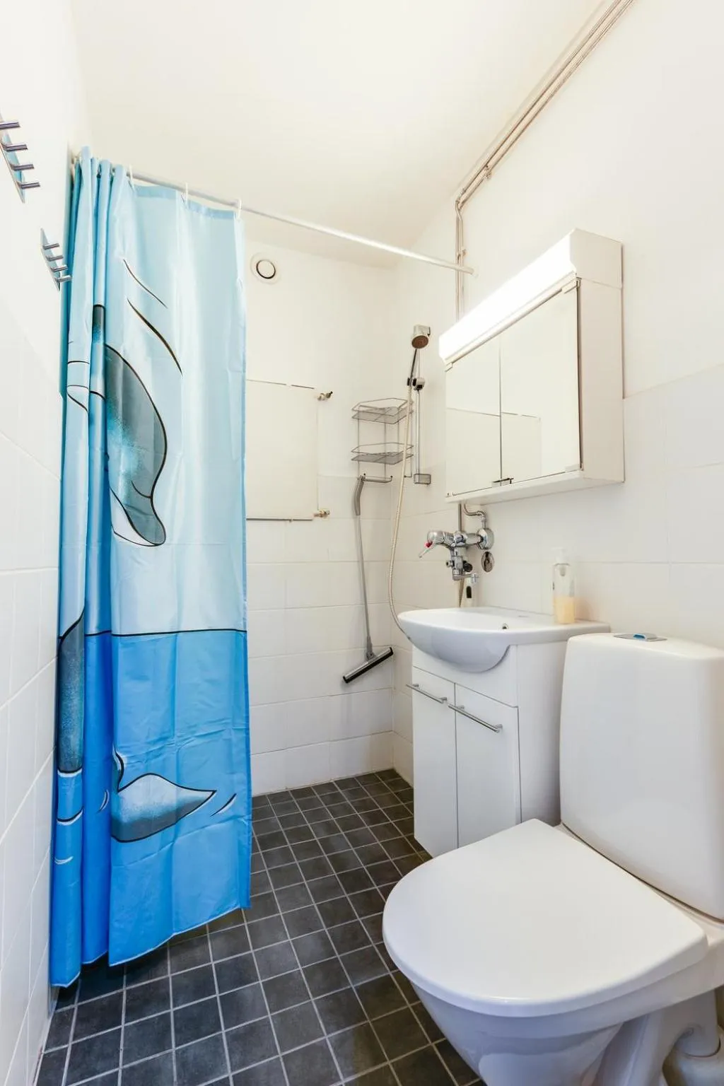 Santa's Holiday Homes