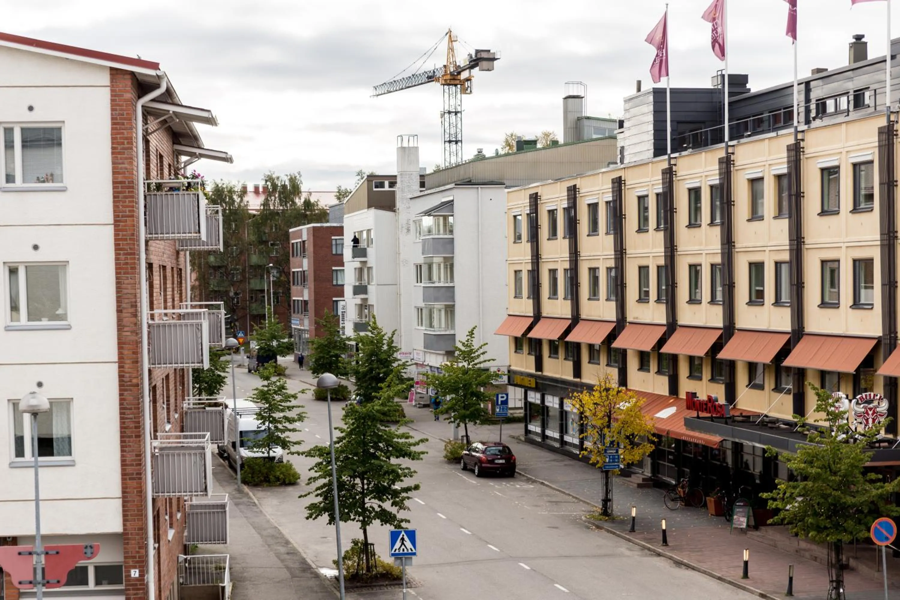 Day in Santa's Holiday Homes