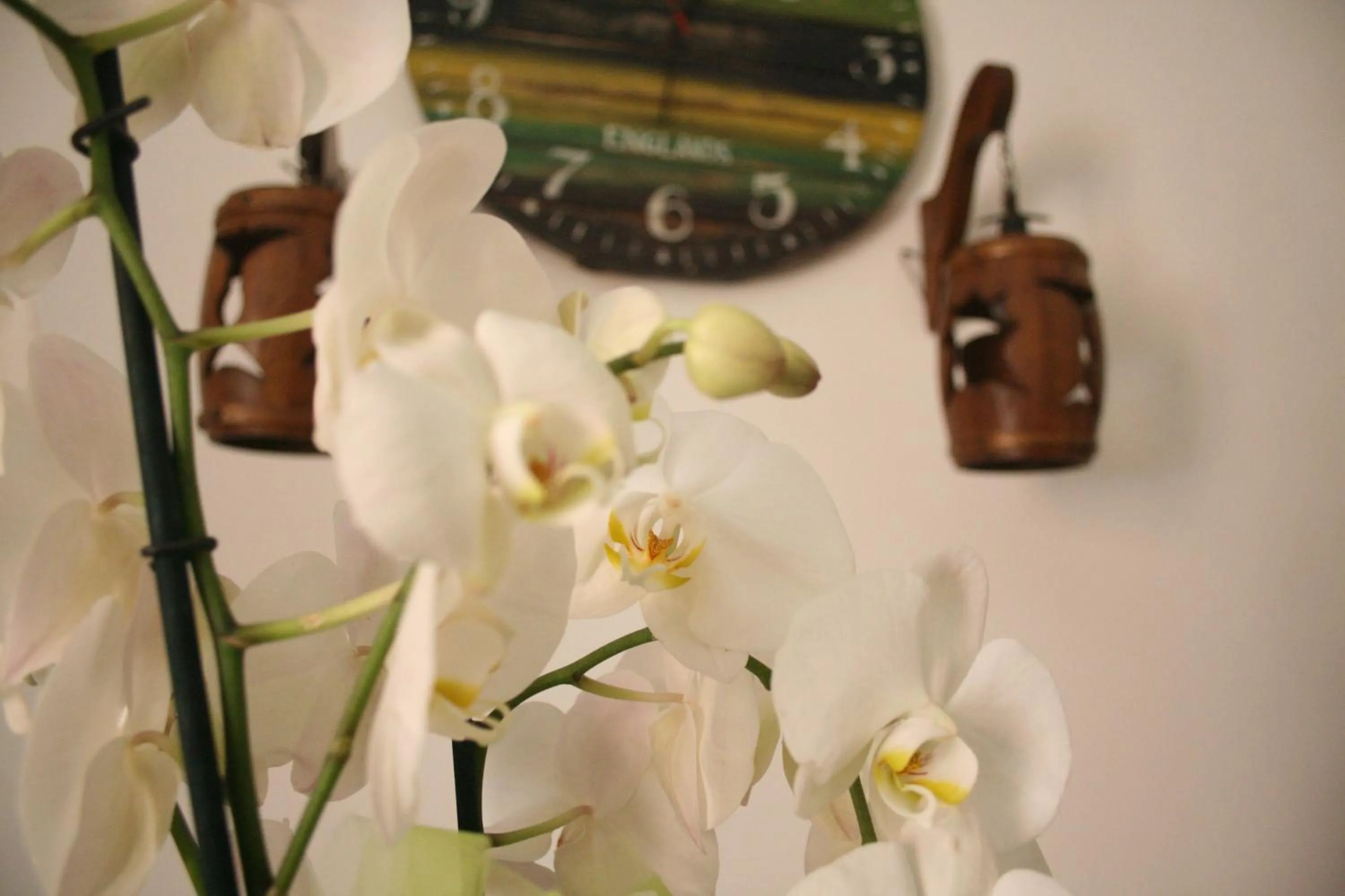 Communal lounge/ TV room in B&B Santiago