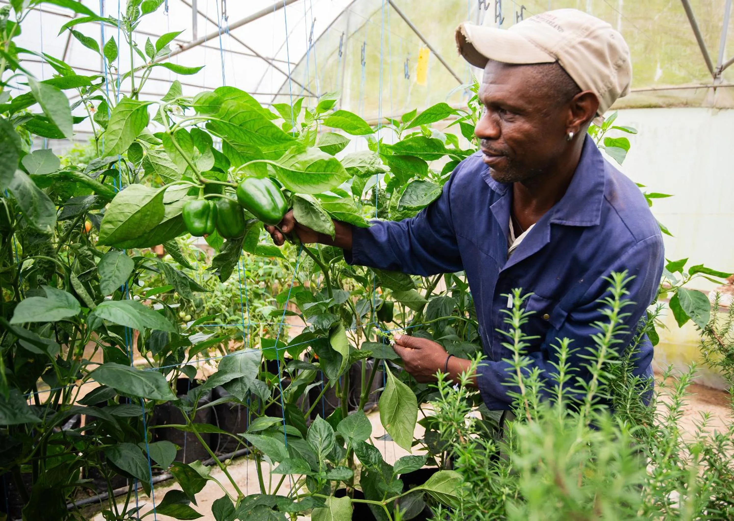 Spring in Little Switzerland Resort by Dream Resorts