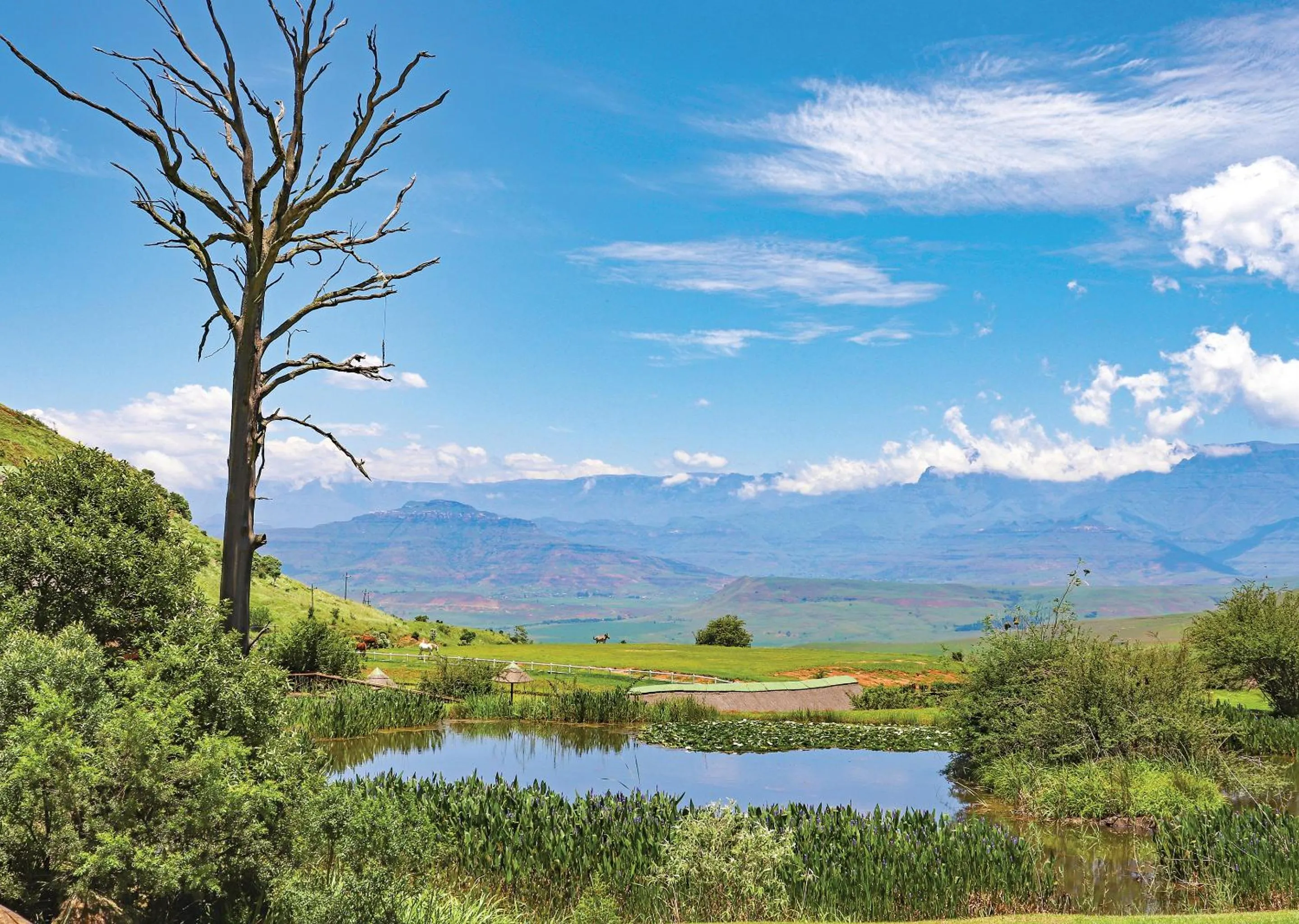 Natural landscape in Little Switzerland Resort by Dream Resorts