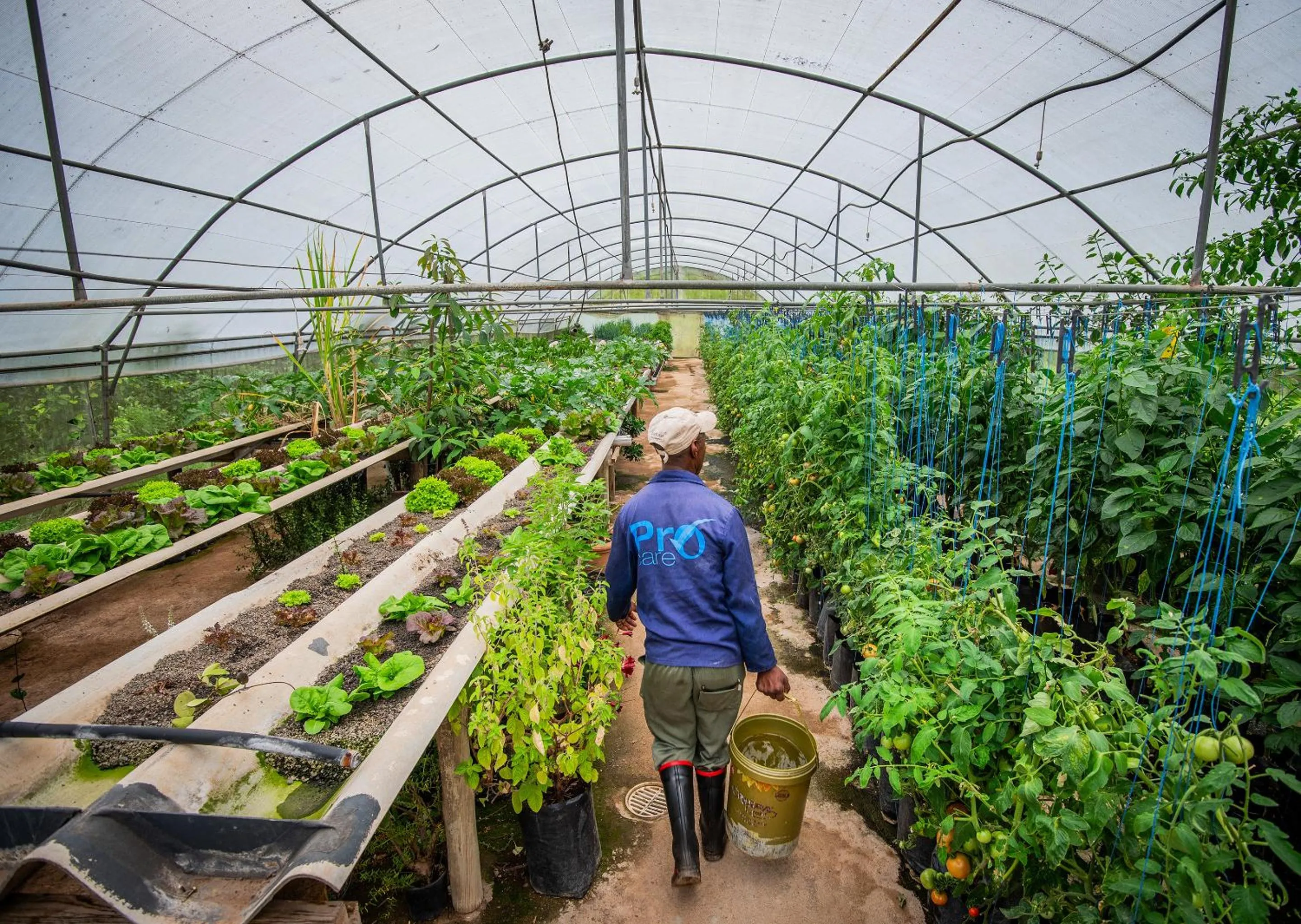 Spring in Little Switzerland Resort by Dream Resorts