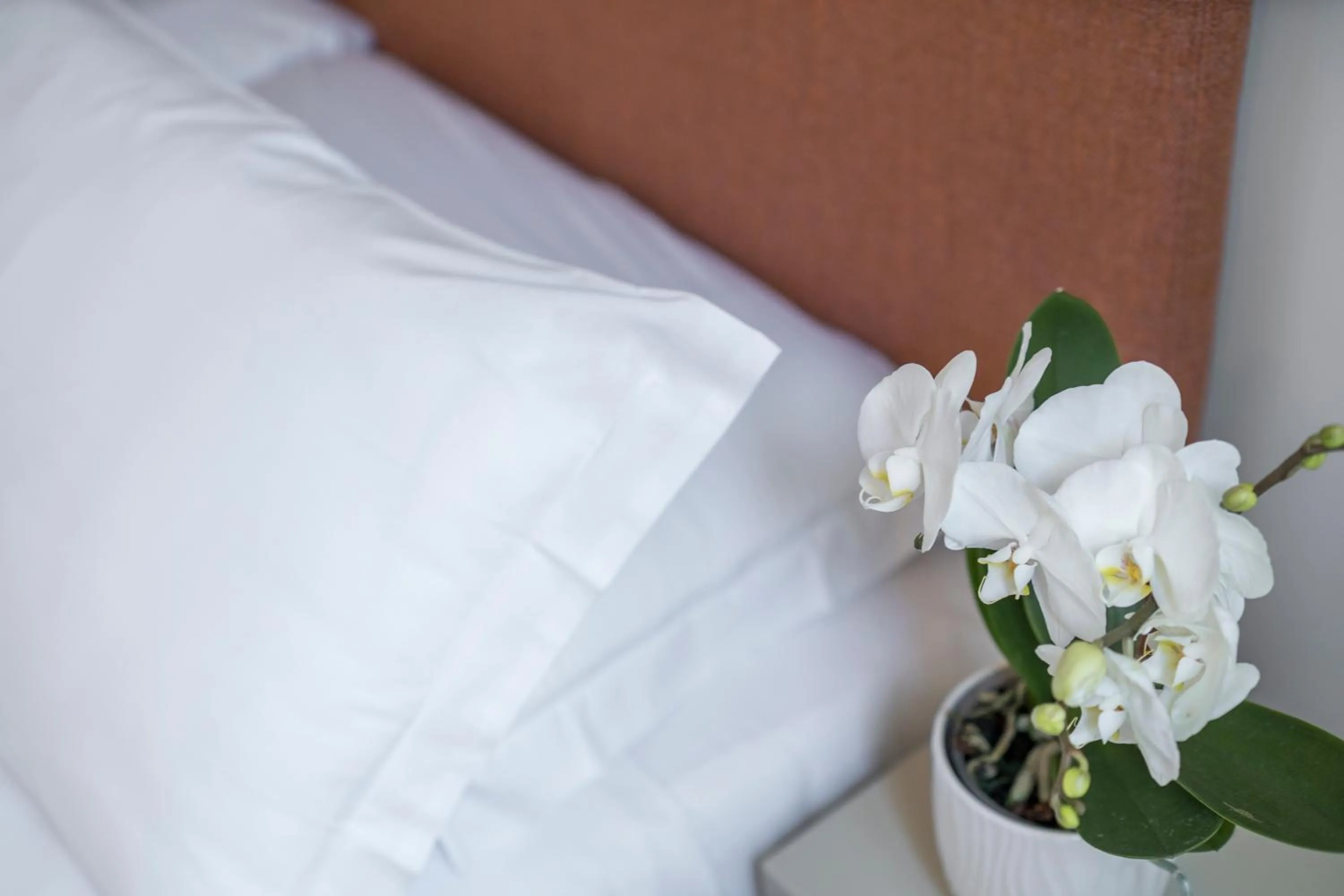 Bed in Ca' La Stampa