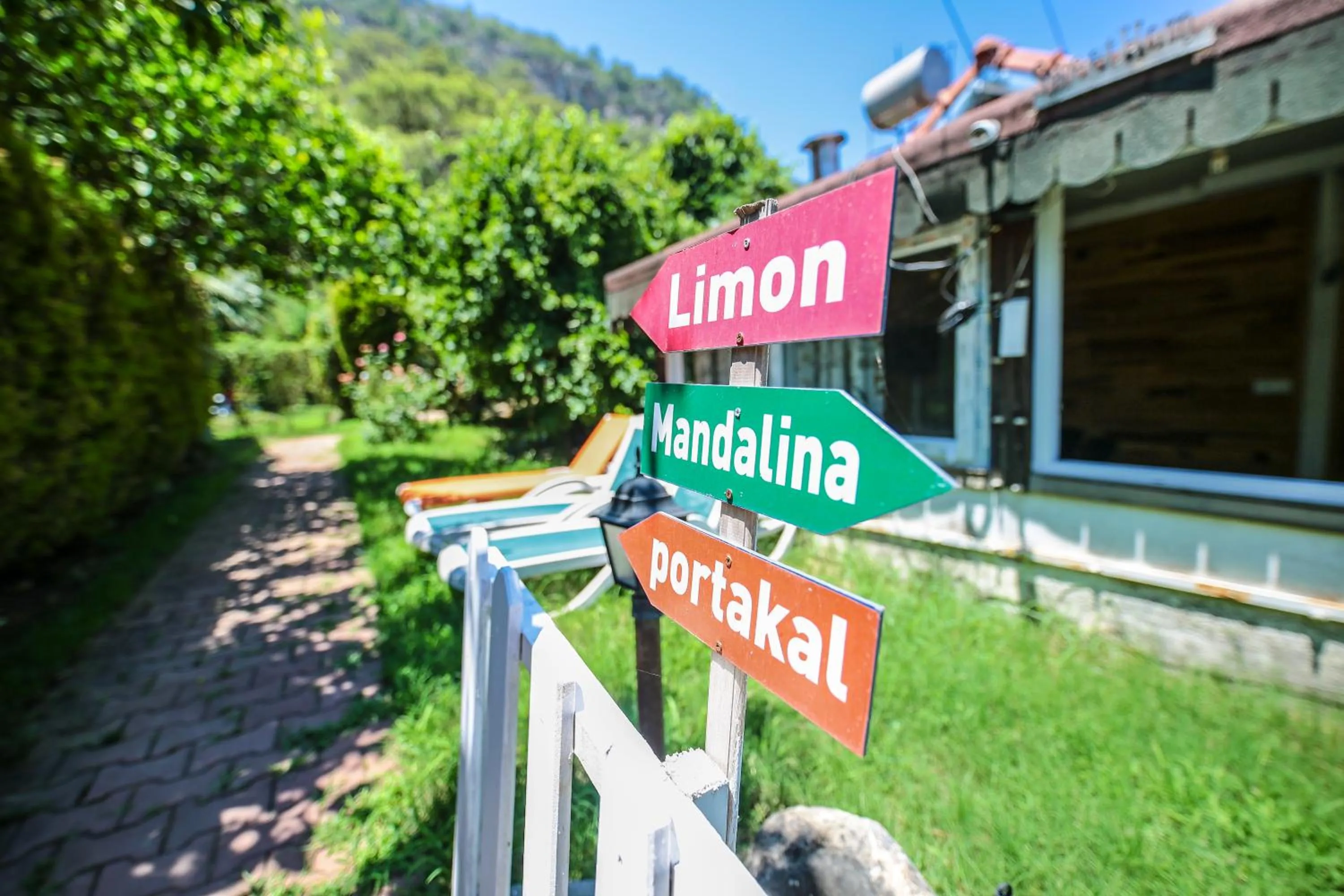 Garden in Villa Zeytin