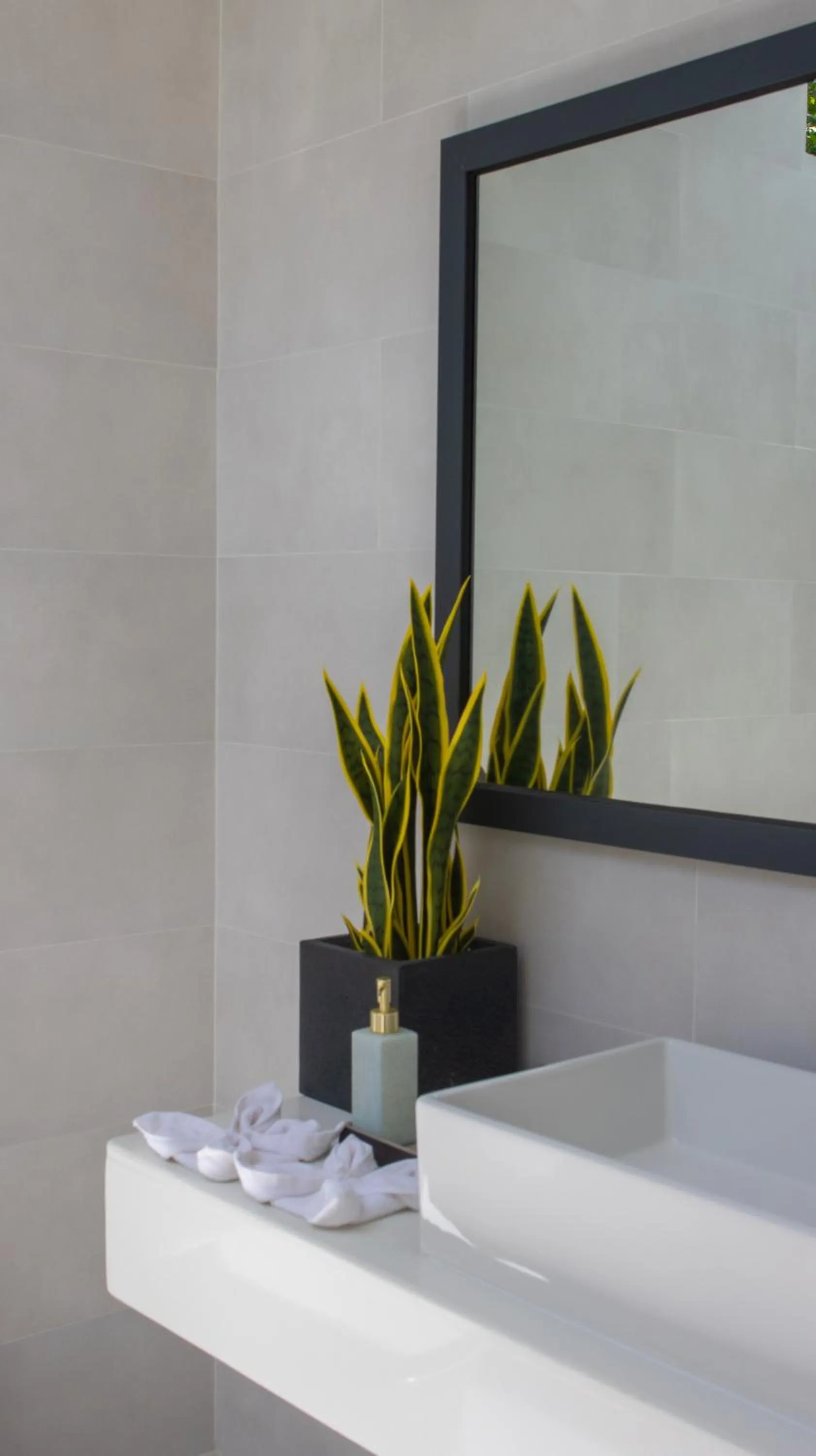 Toilet in Whale Shark Boutique