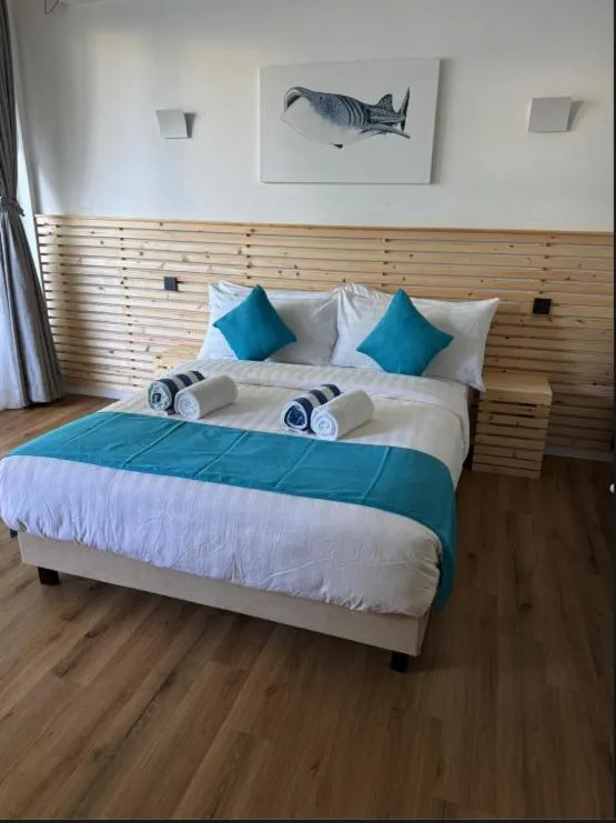 Swimming pool, Bed in Whale Shark Boutique