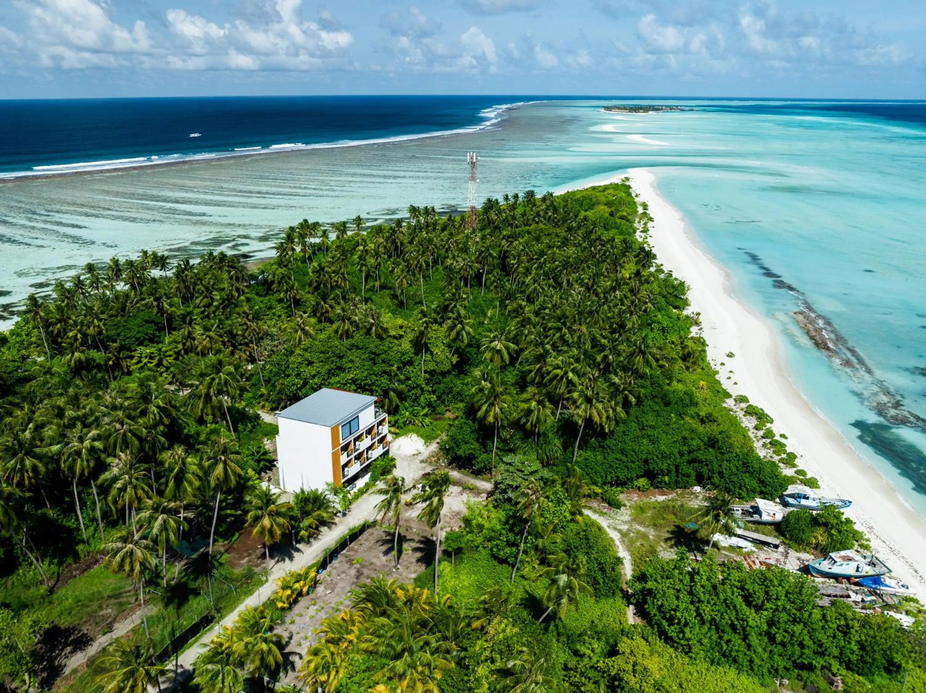 Whale Shark Boutique