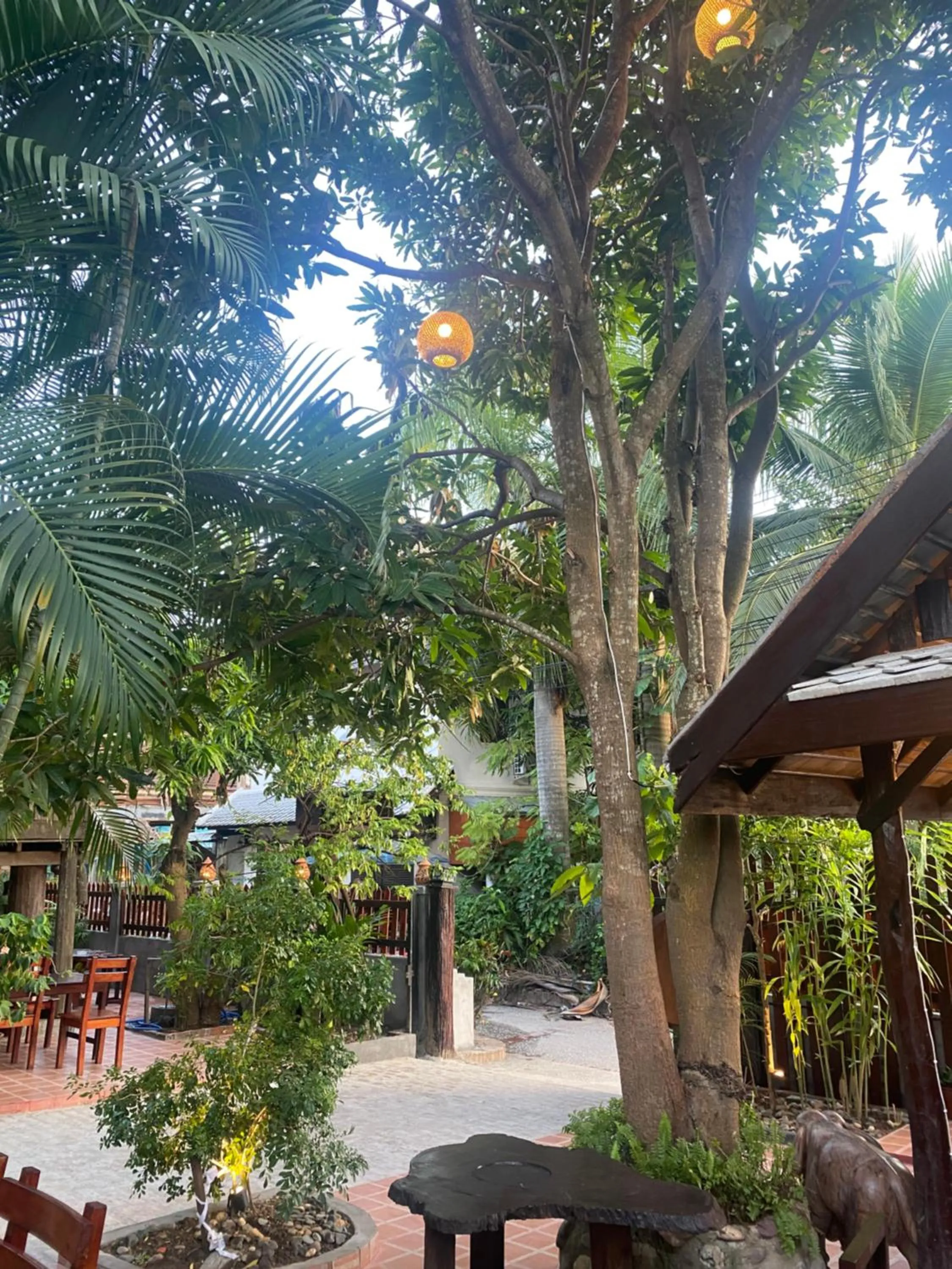 Garden in Golden Sun Hotel