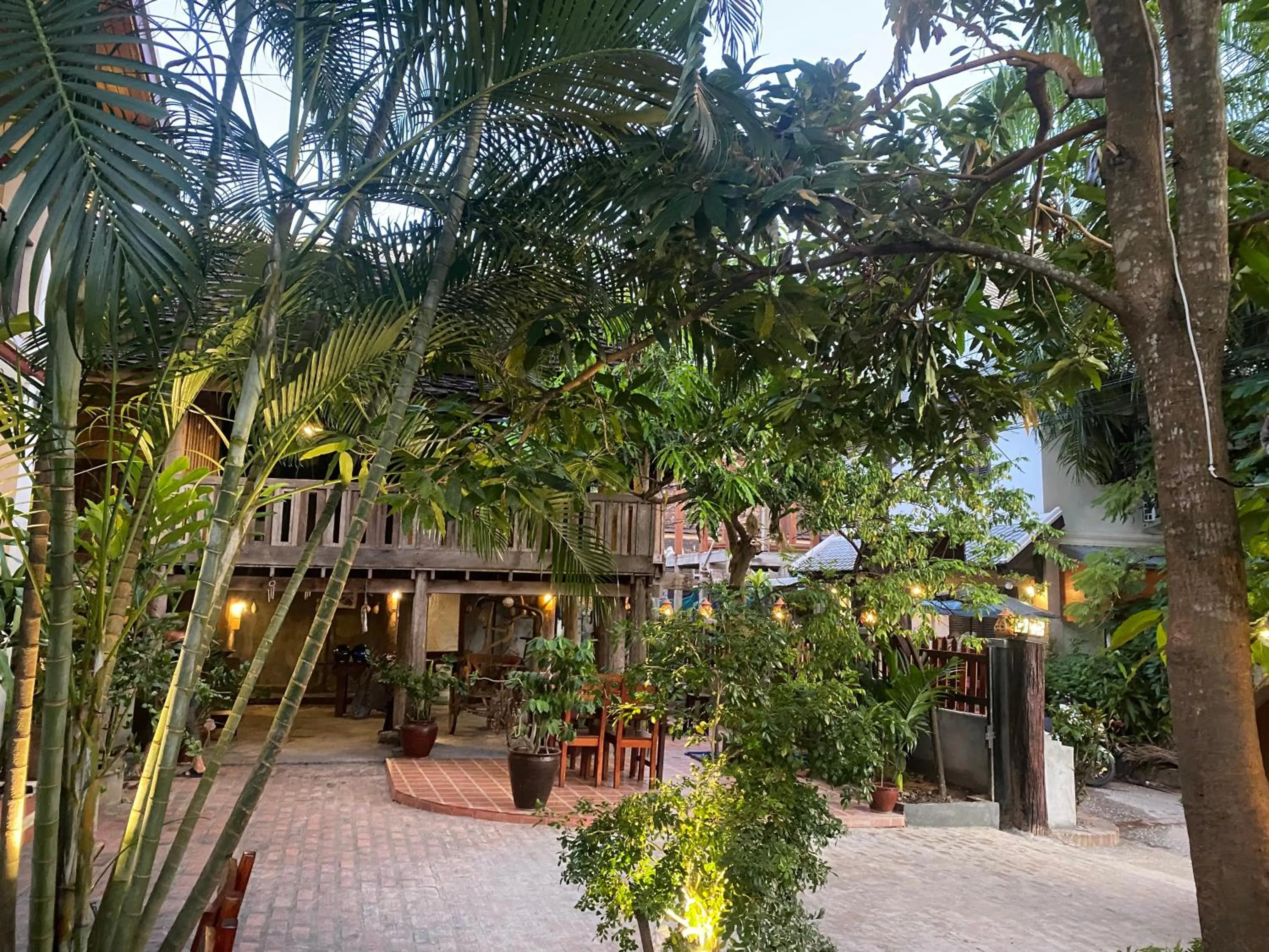 Garden in Golden Sun Hotel