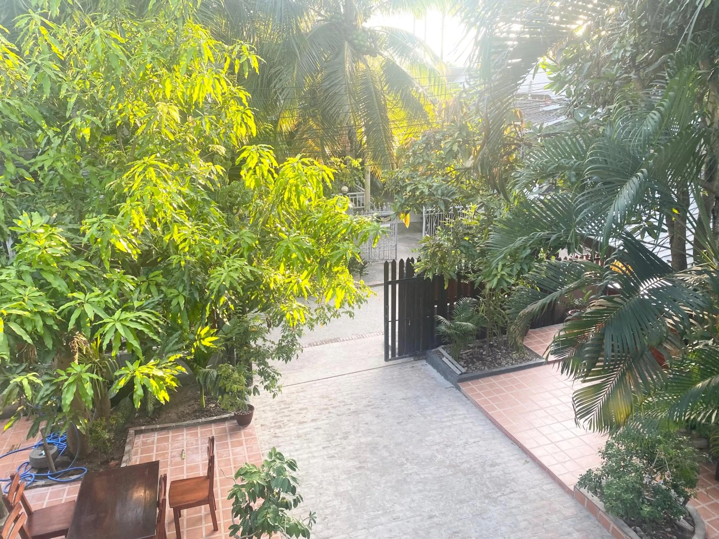 Garden in Golden Sun Hotel