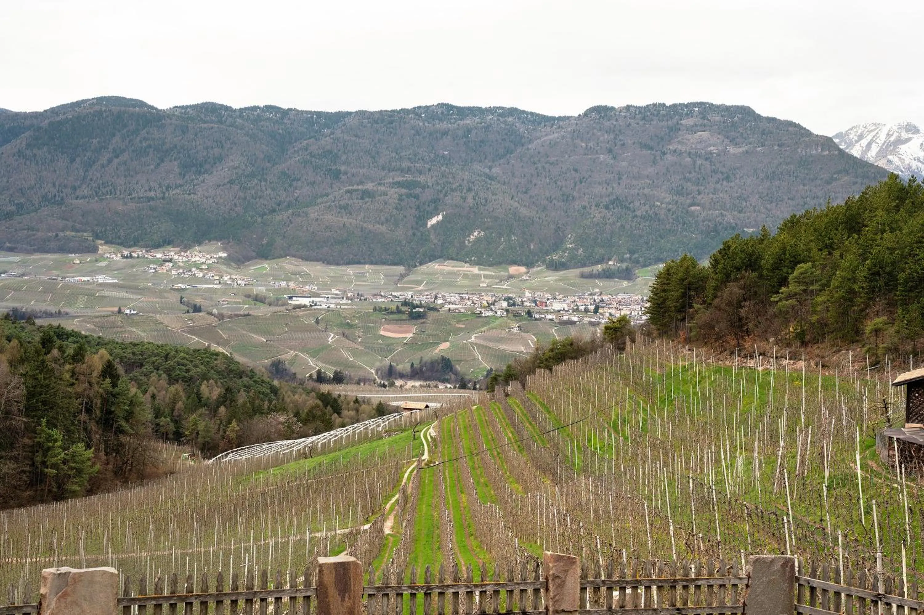 Property building in Agriturismo Alpenvidehof