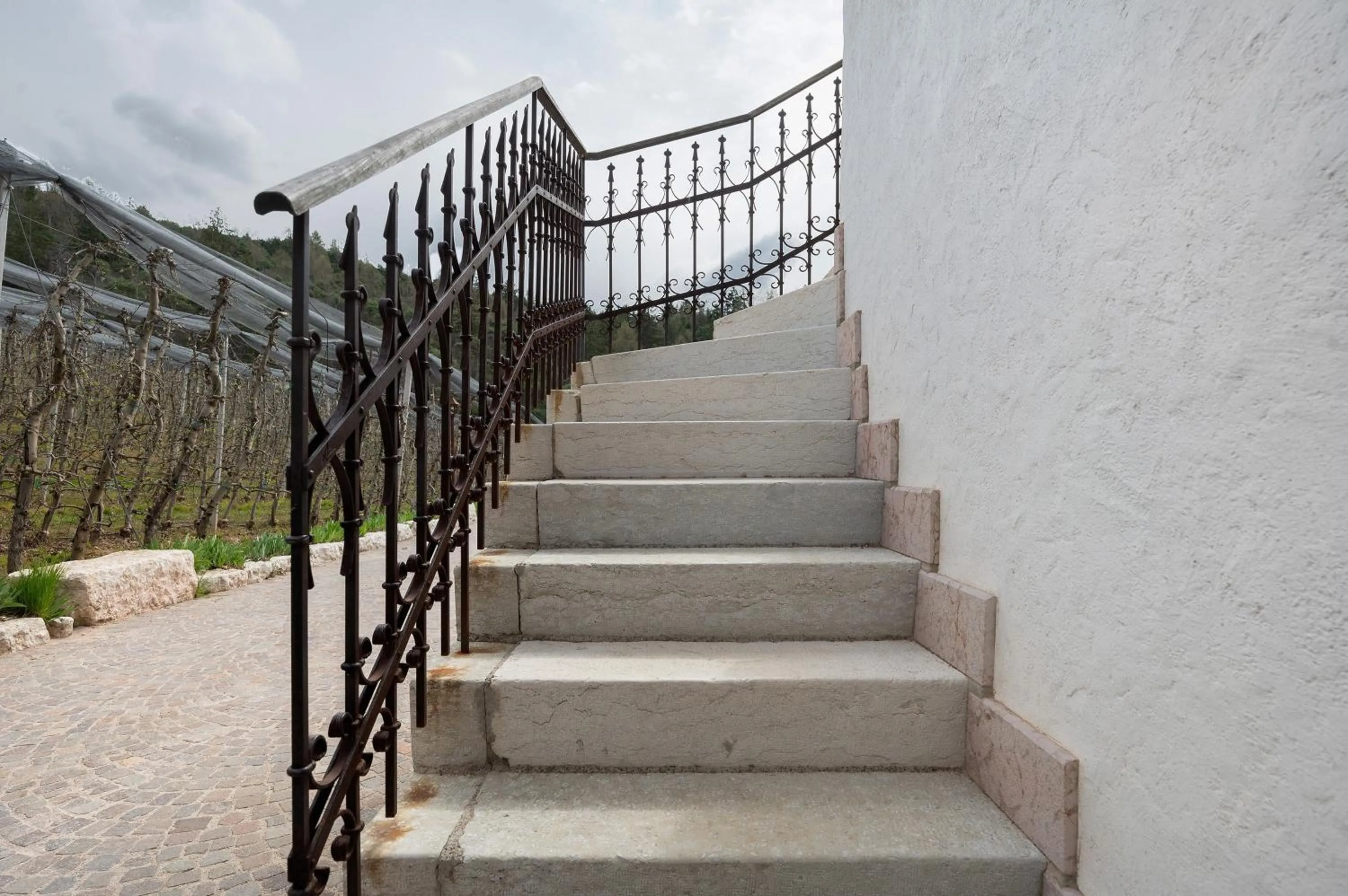Property building in Agriturismo Alpenvidehof
