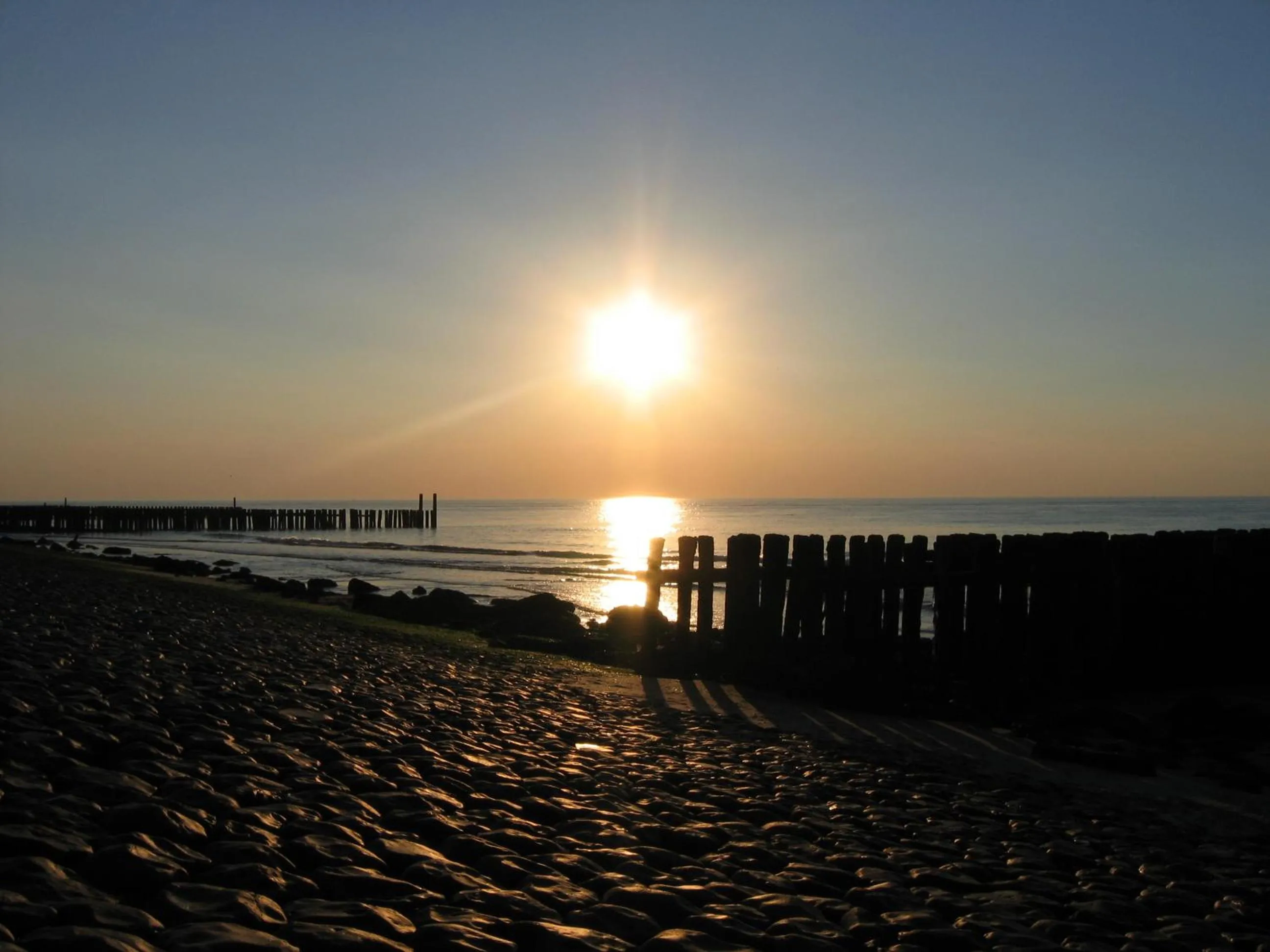 Summer in Studio aan Zee