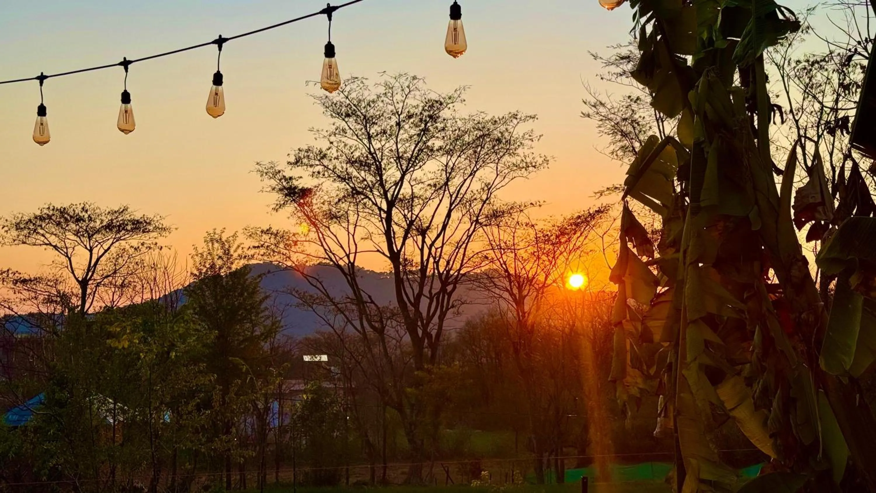 Sunset in The Hood