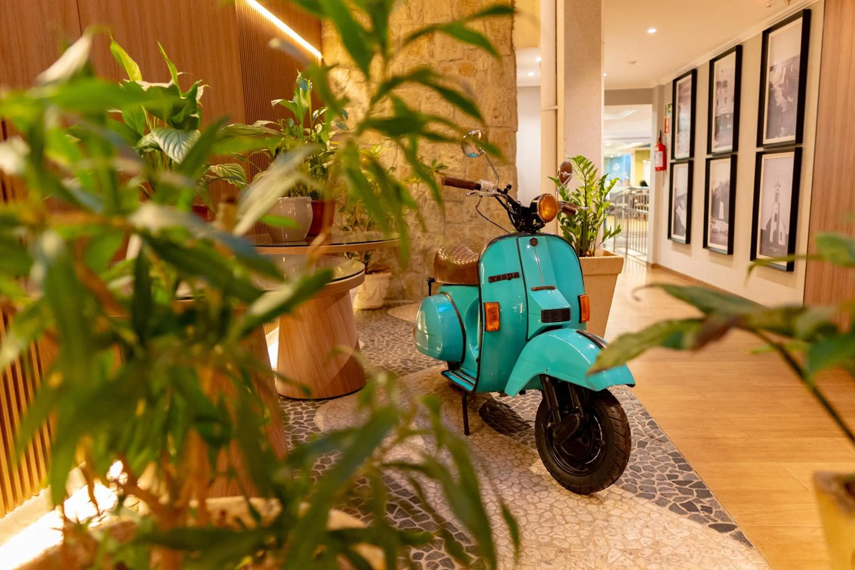 Del Rey Quality Hotel