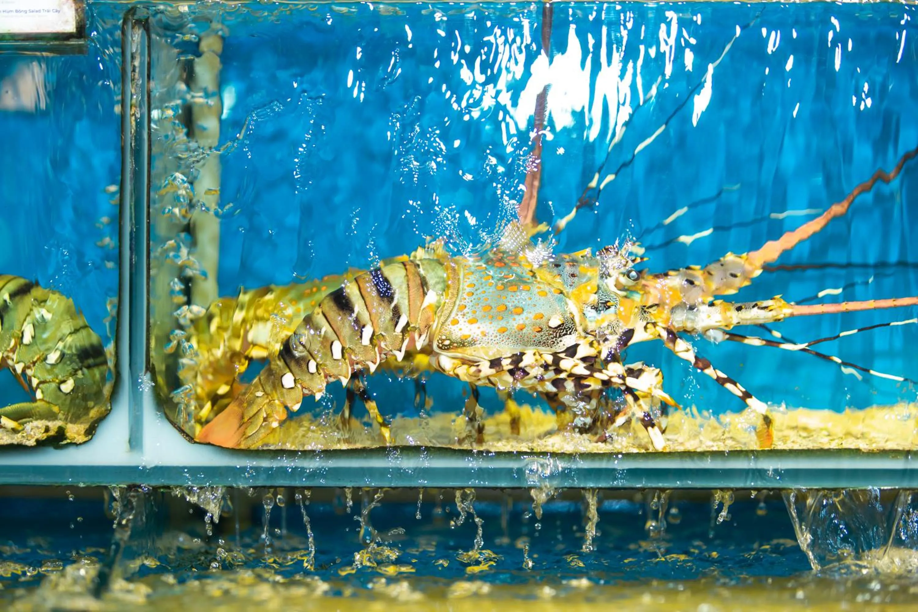 Restaurant/places to eat in THE RICE HOTEL Nong Thon Dai Viet 131 Bui Vien