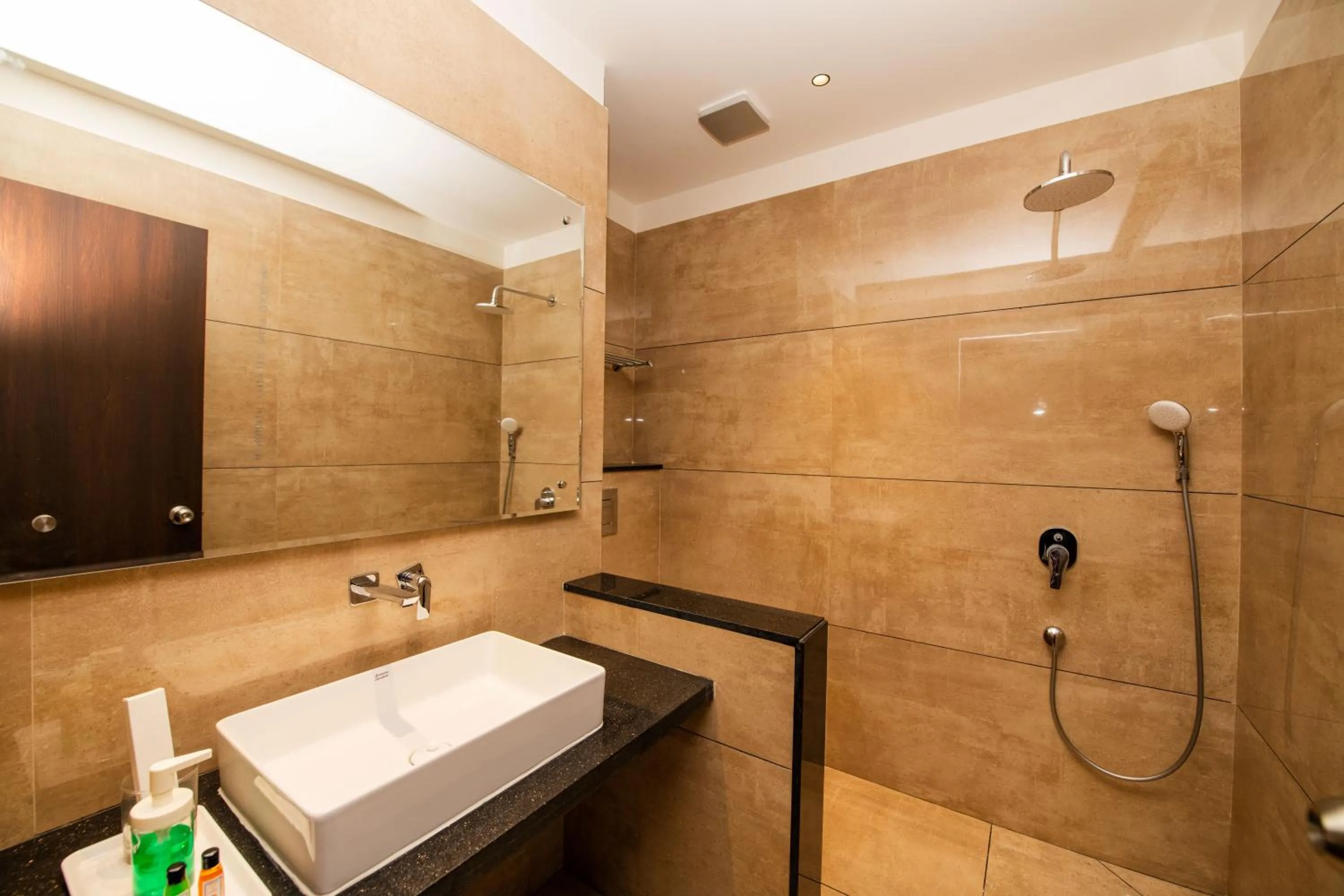 Shower in Hotel Mysore Radiance