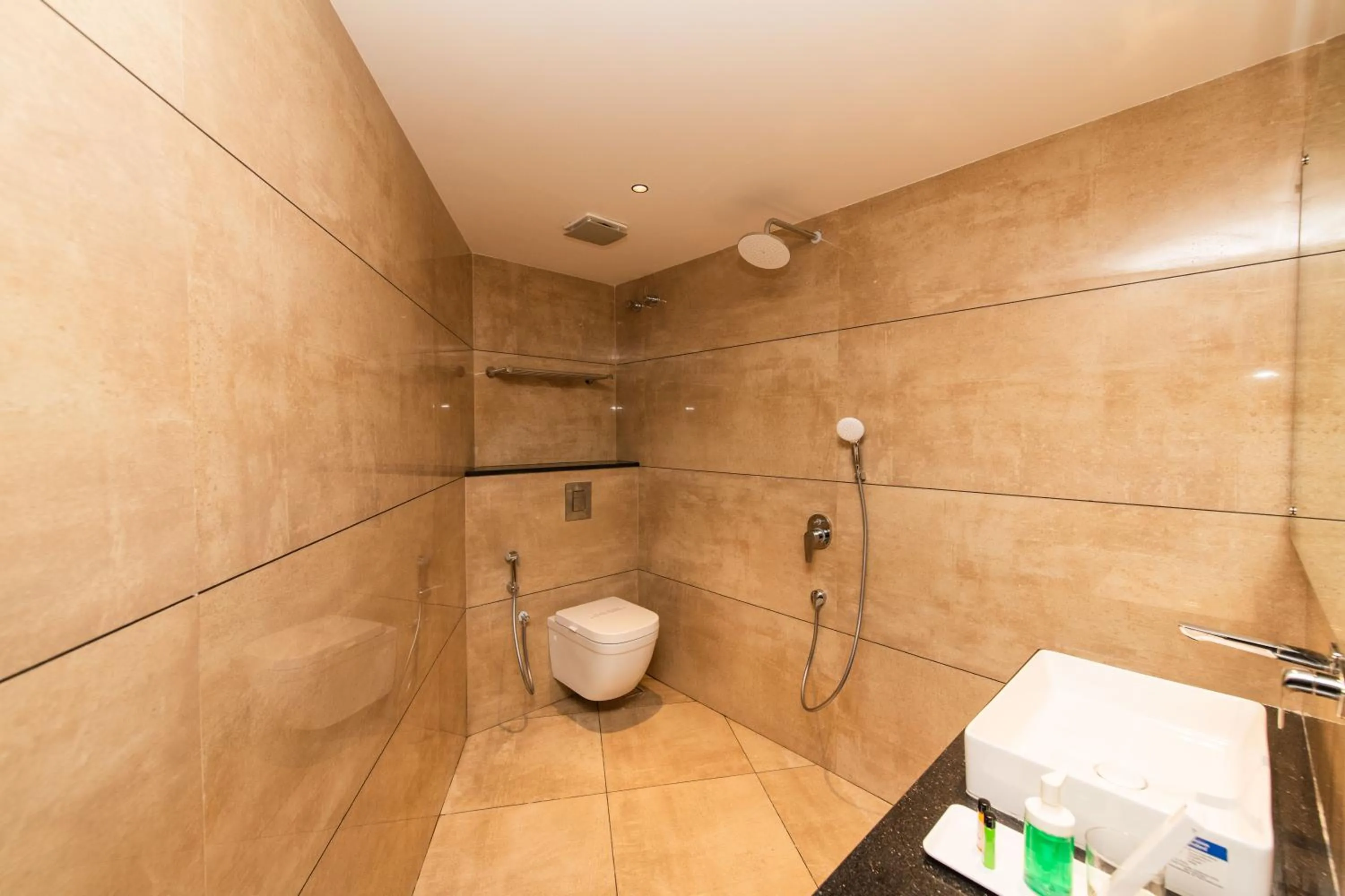 Shower in Hotel Mysore Radiance