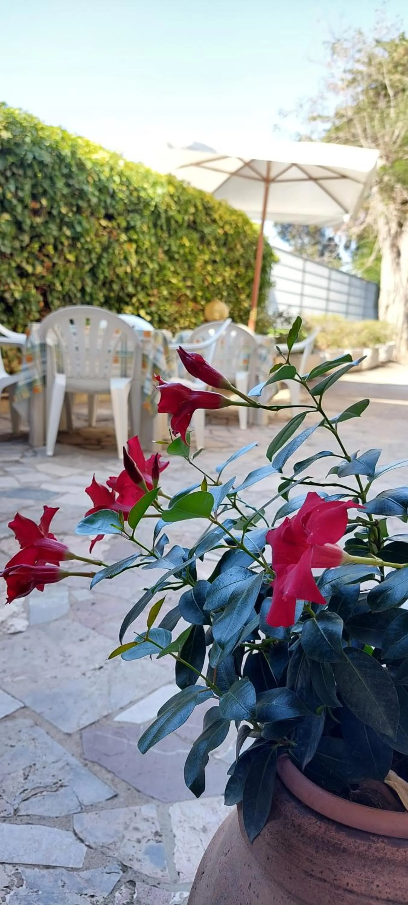 Facade/entrance in Hotel Lea