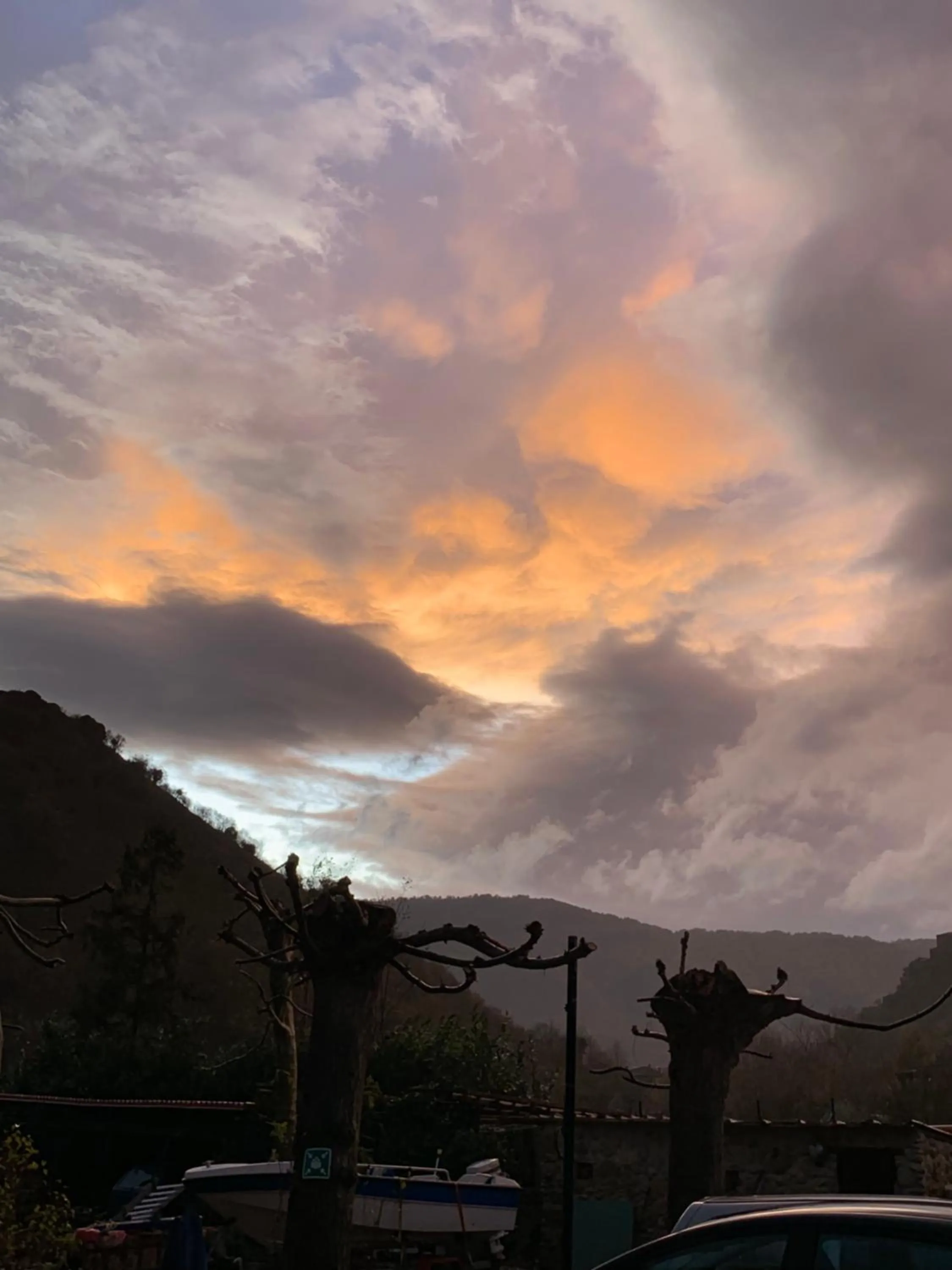 Natural landscape in Hotel Turano