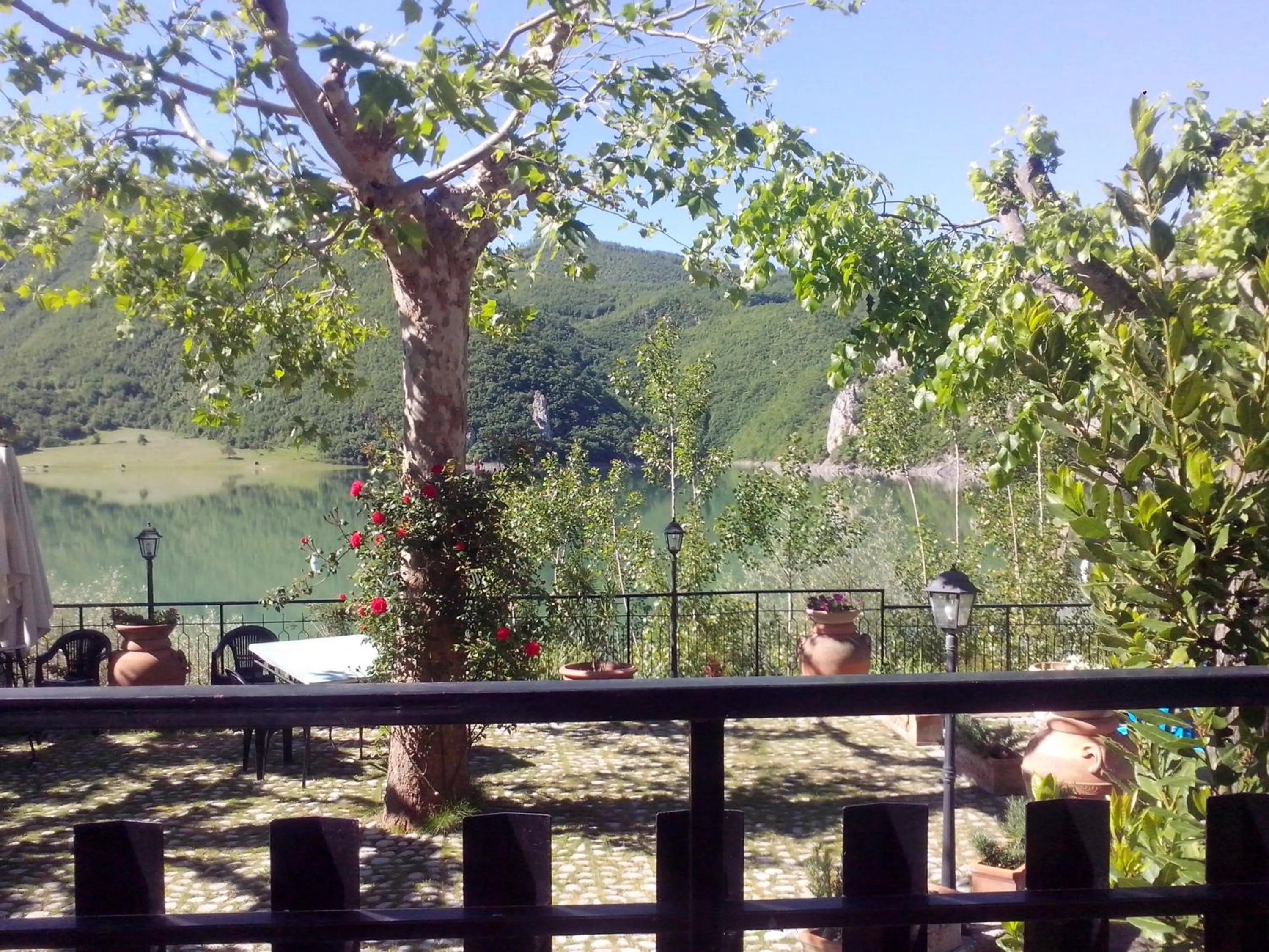 Garden in Hotel Turano