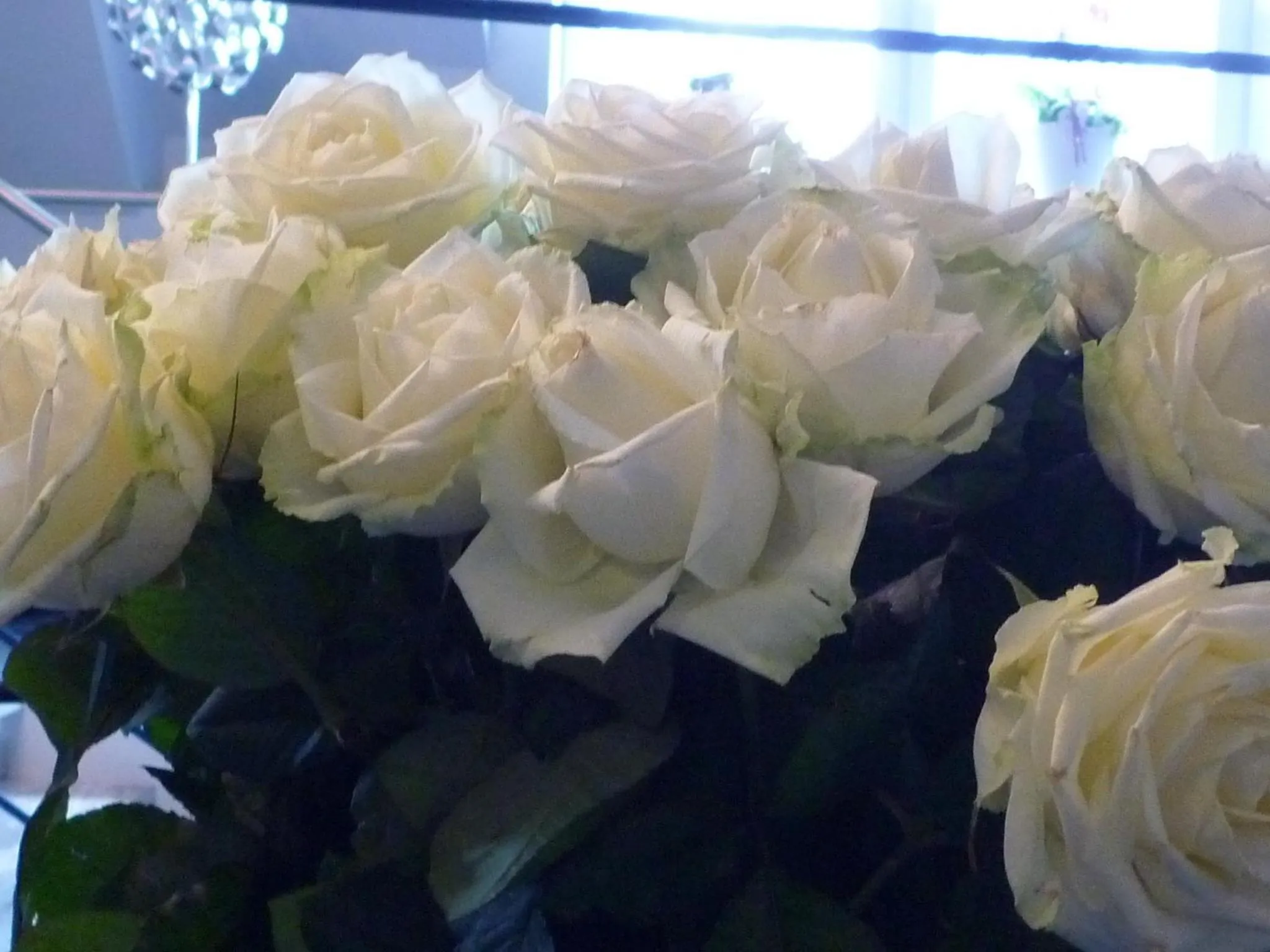 Lobby or reception in Komm' In Hotel