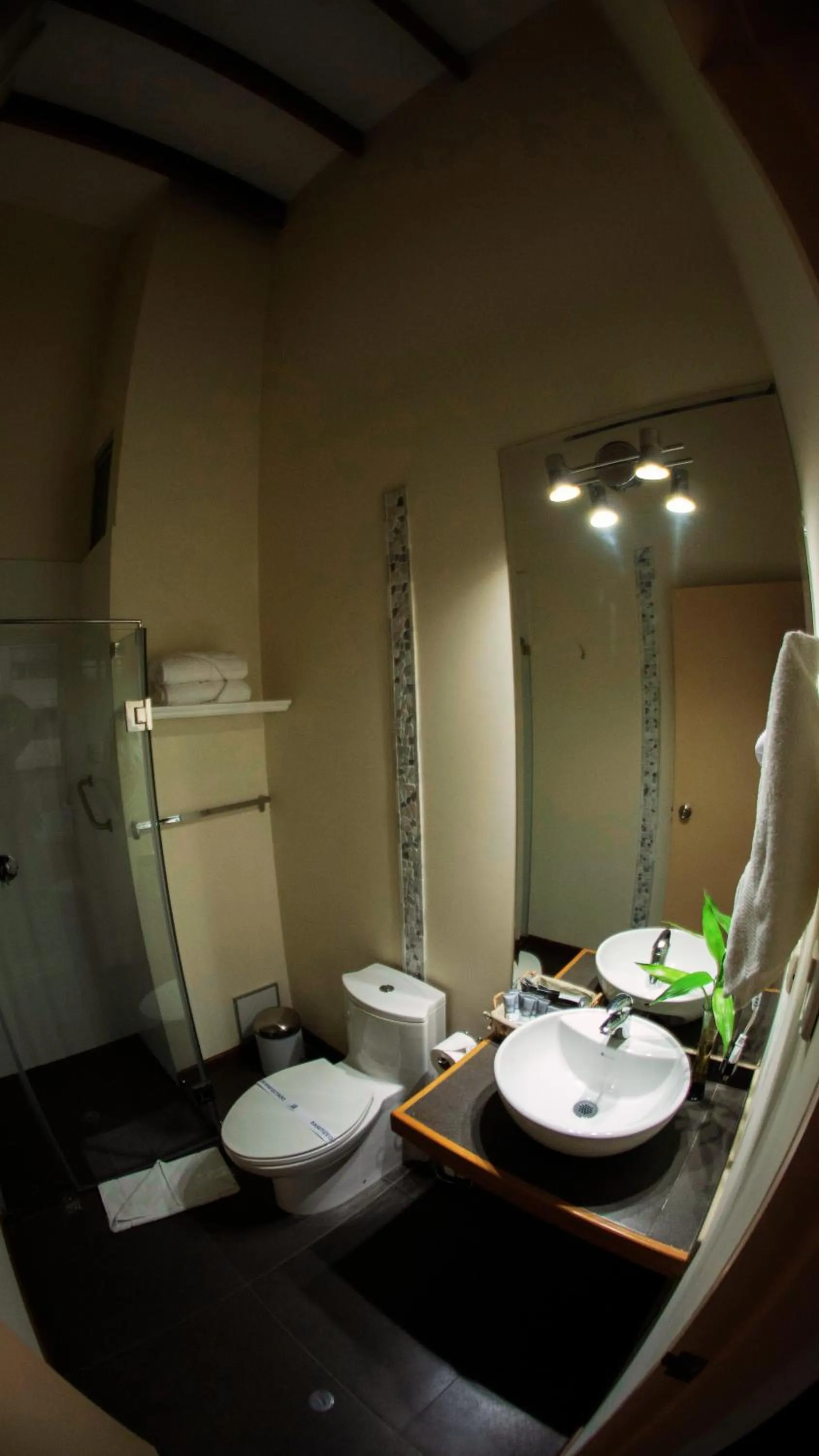 Toilet in Atrium Miraflores Hotel