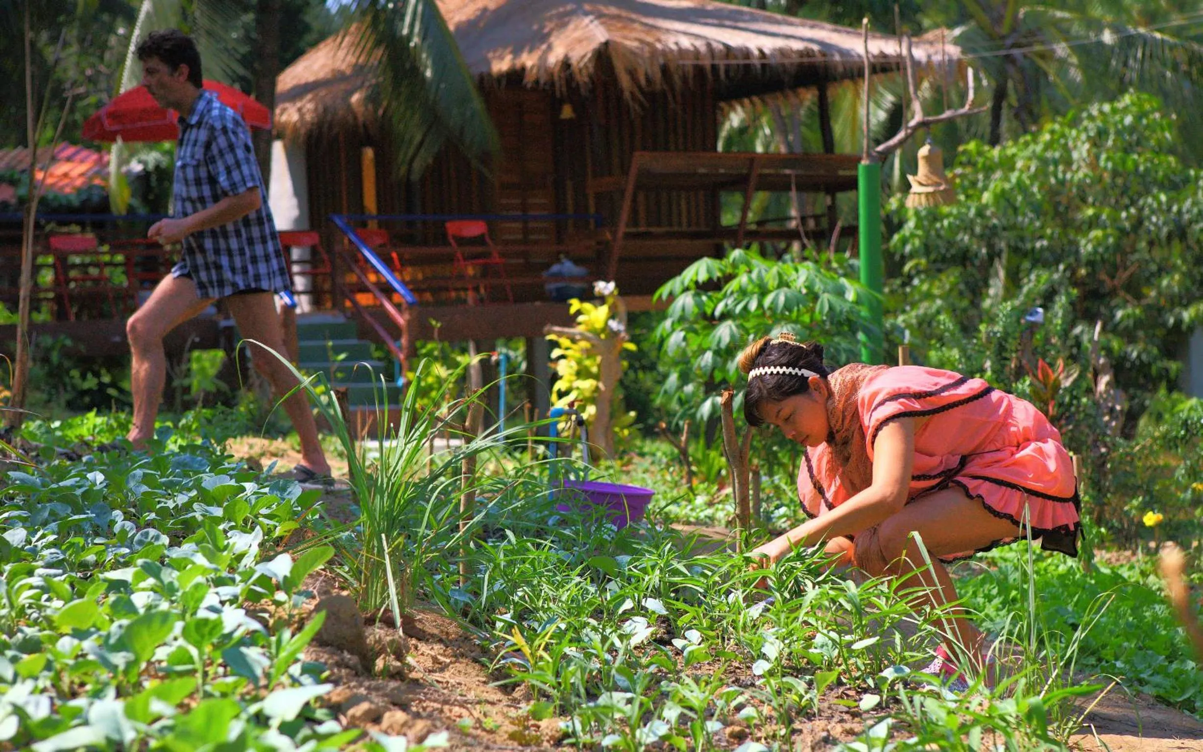 Activities in Phayam Garden View