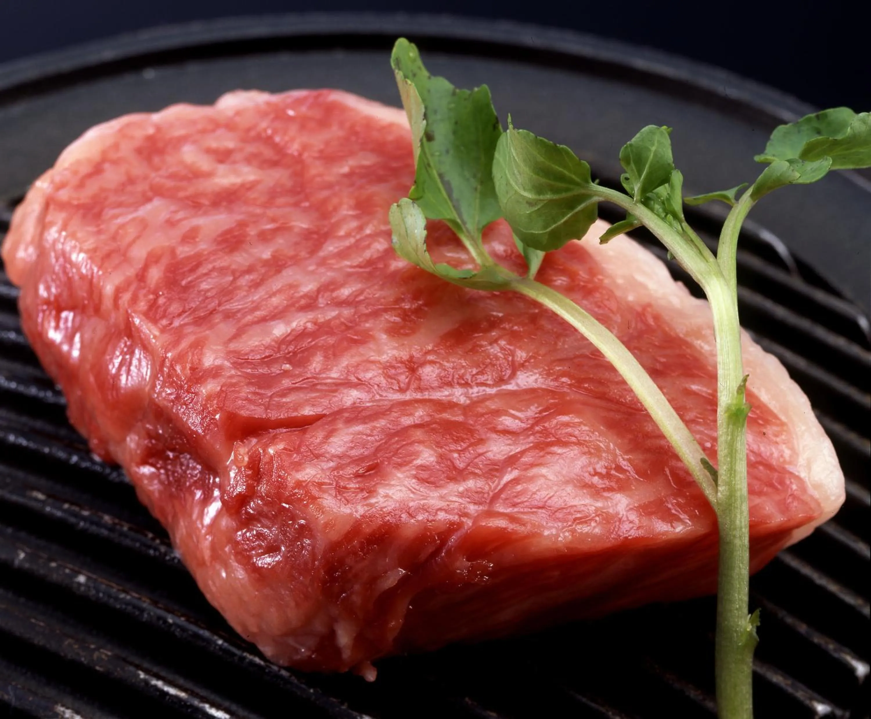 Food in Tsukimotoya Ryokan